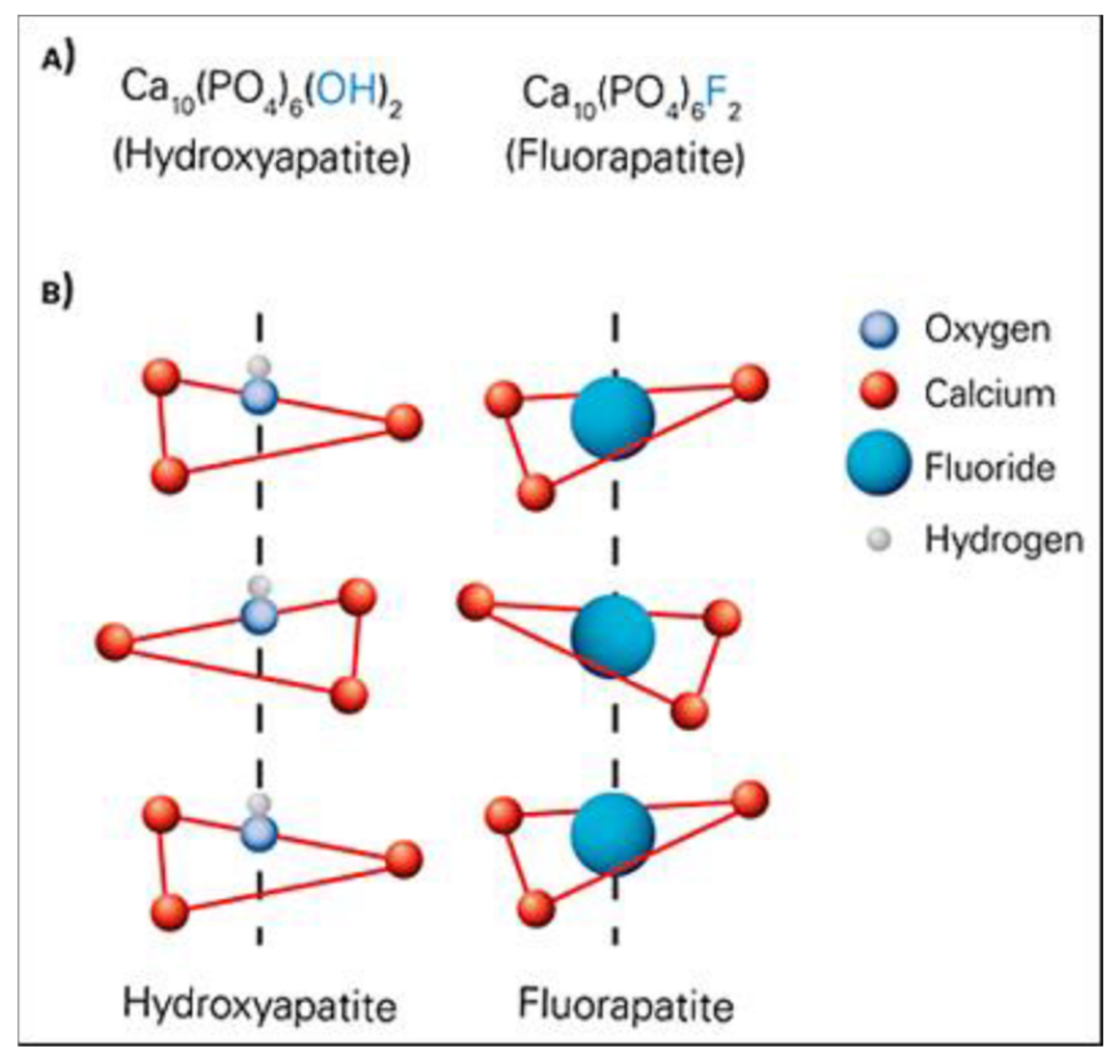 Ceramics | Free Full-Text | Hydroxyapatite for Biomedical Applications: A  Short Overview | HTML