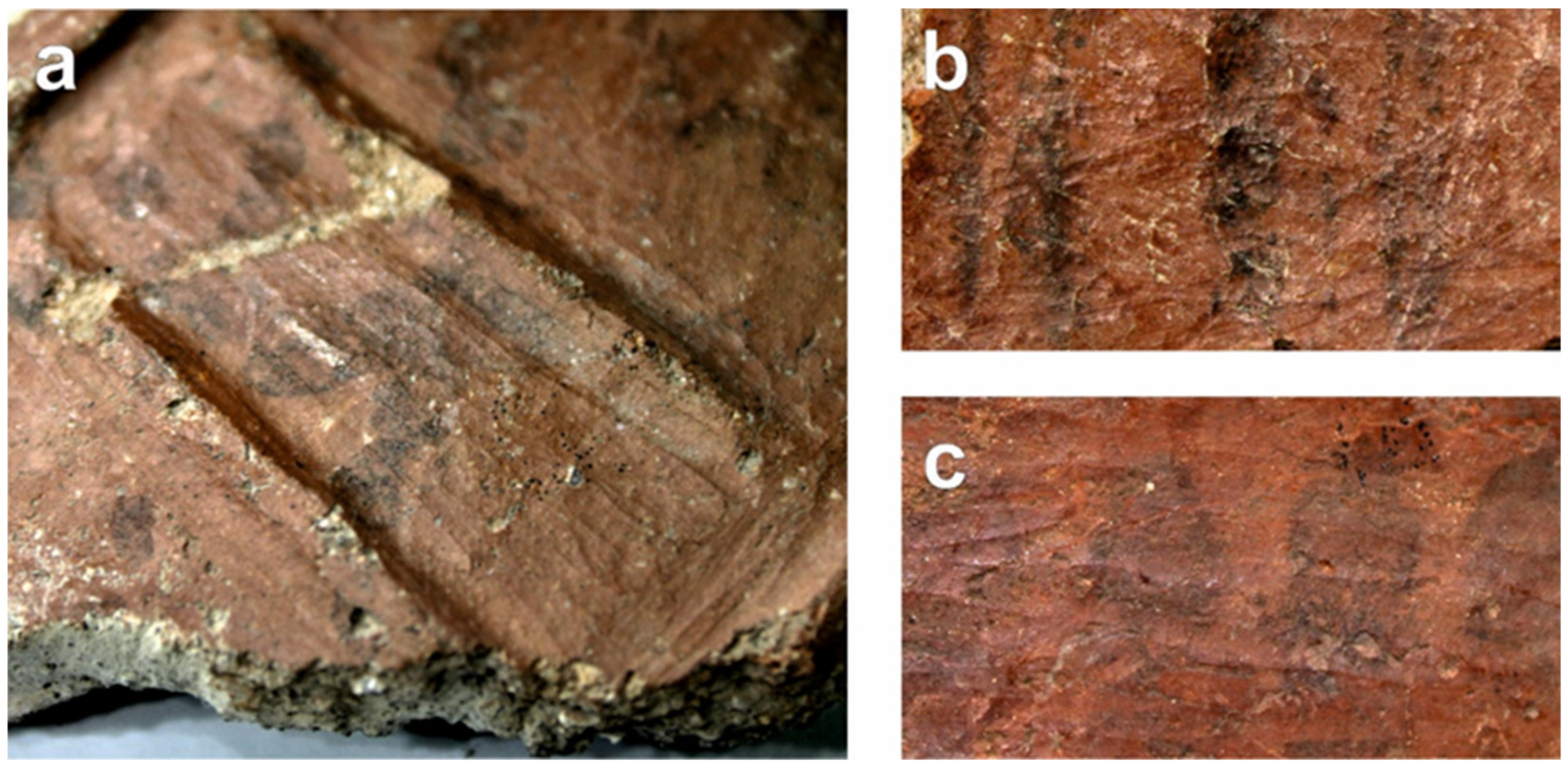 Ceramics 06 00064 g012 Ceramics 06 00064 g012