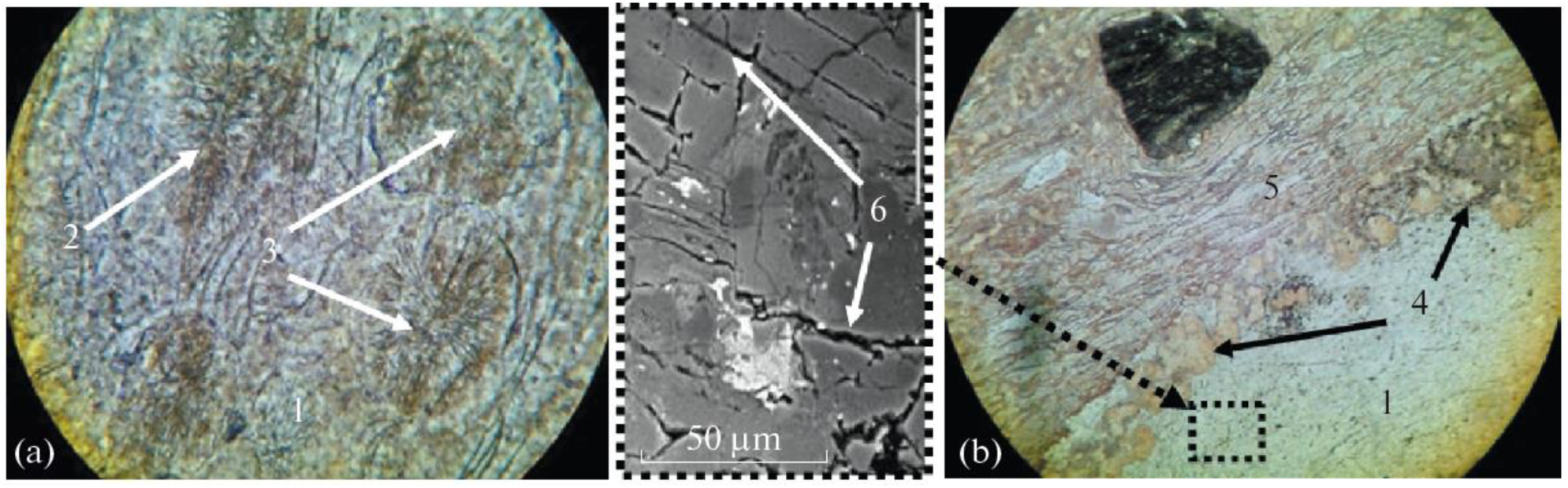 Ceramics 06 00069 g003 Ceramics 06 00069 g003