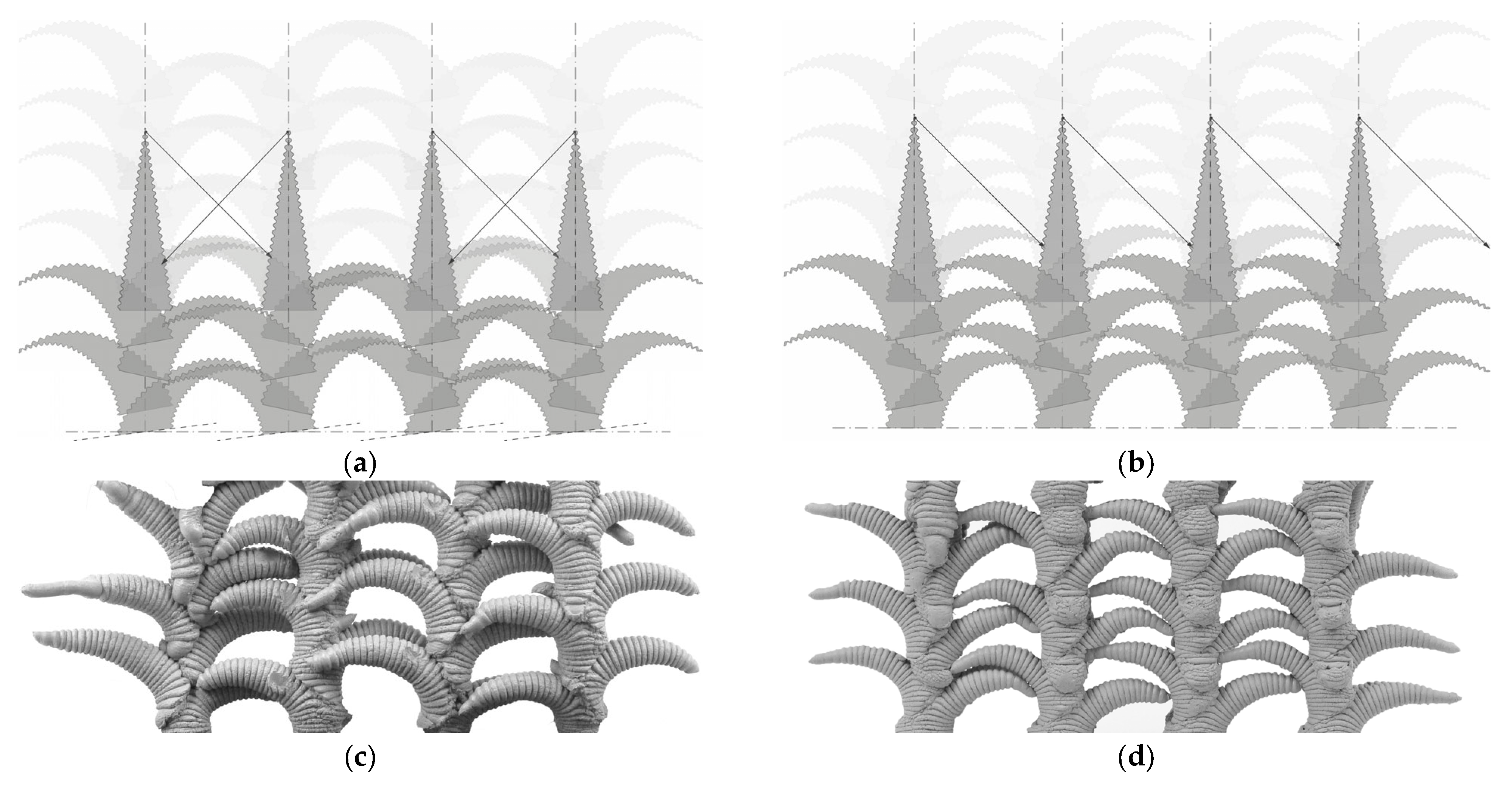 Ceramics 06 00124 g013