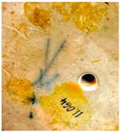 Ceramics 06 00134 i045