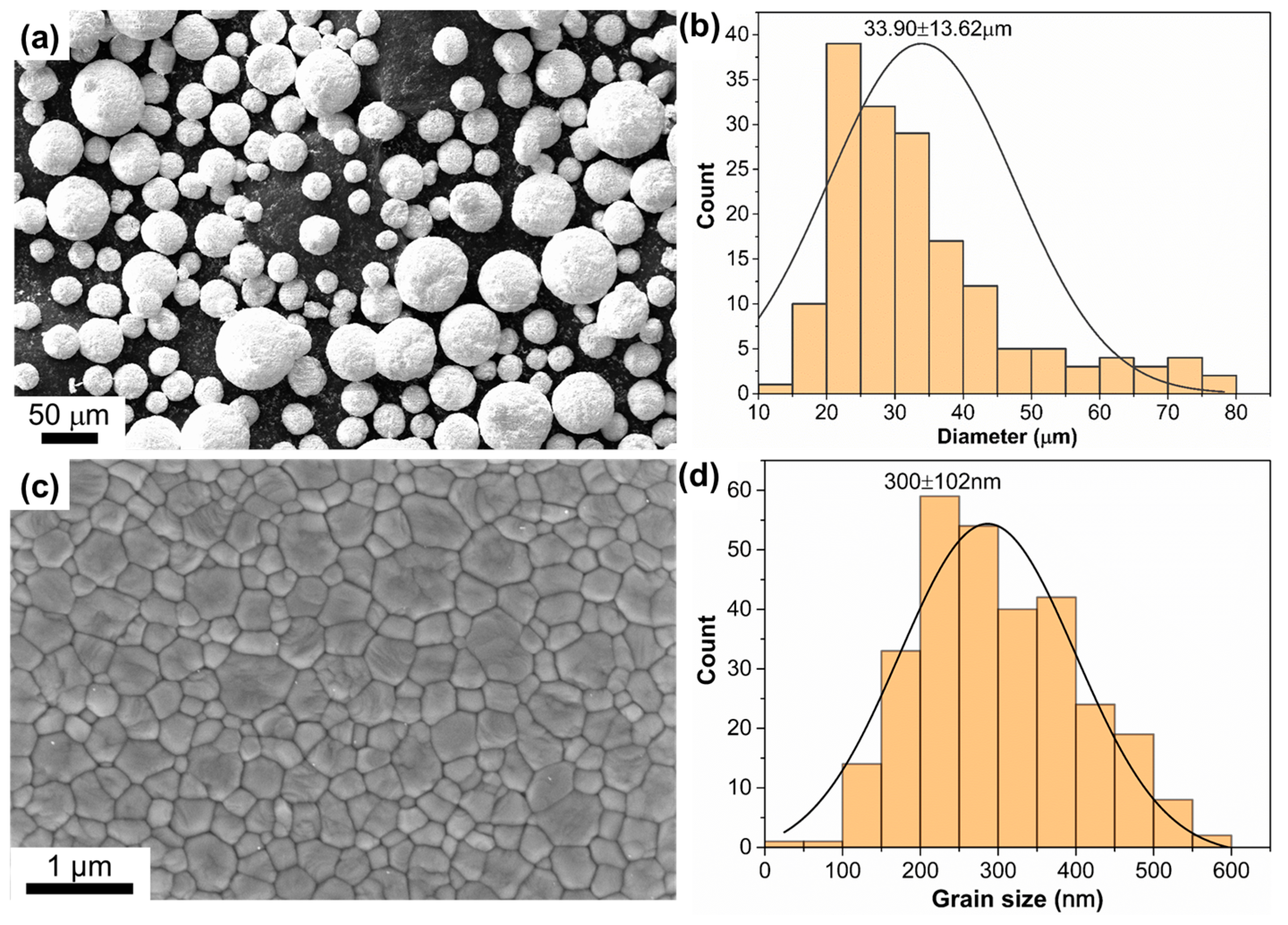 Ceramics 07 00028 g003