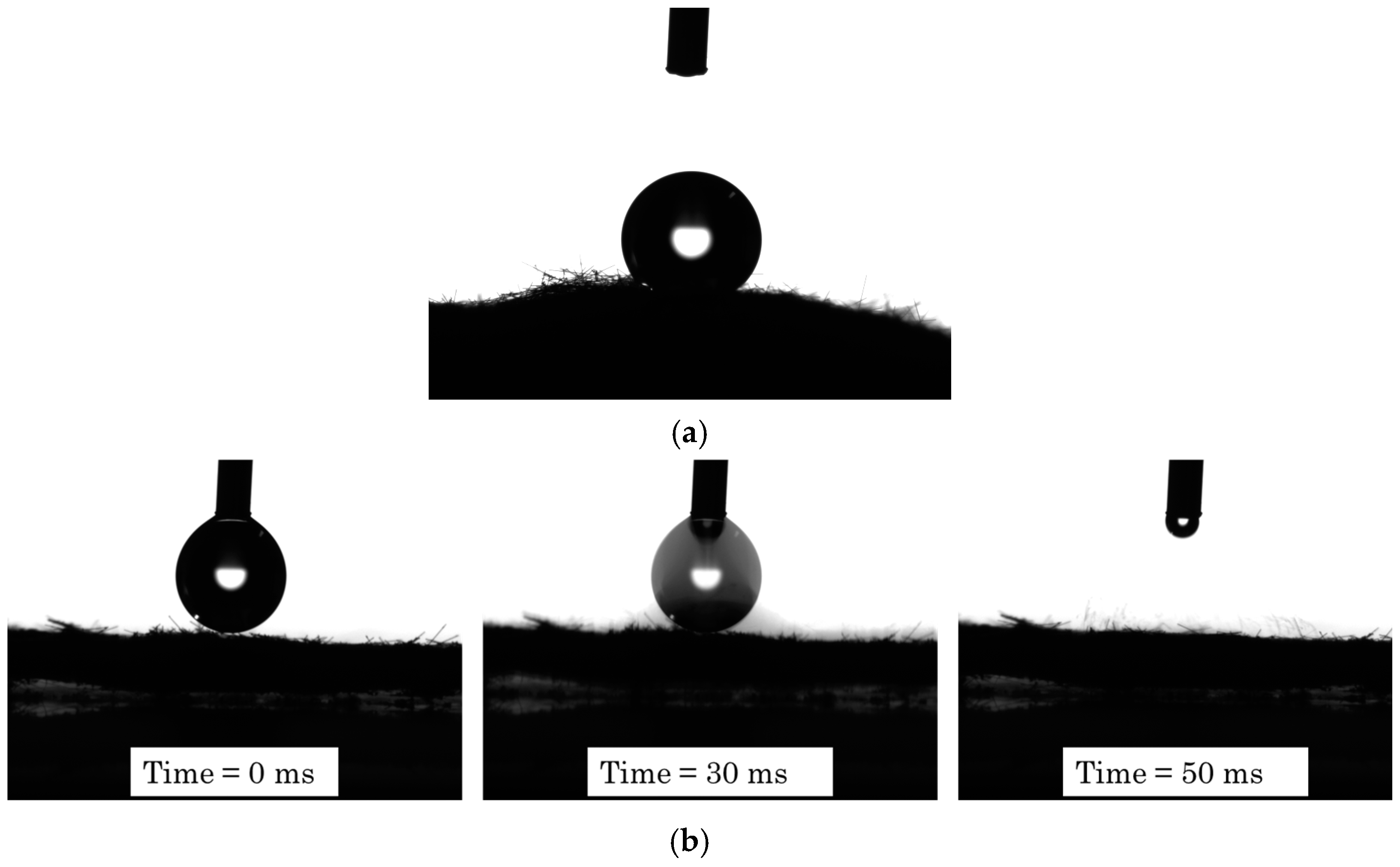 Ceramics 07 00054 g007