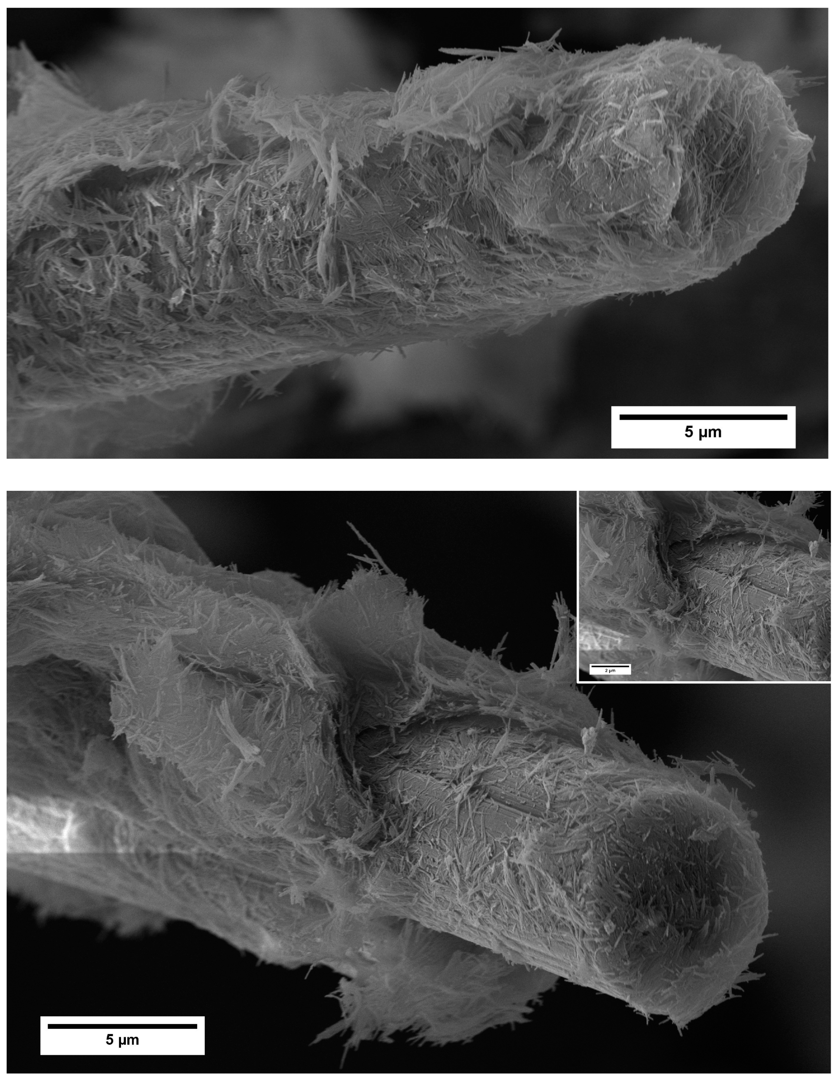 Ceramics 07 00054 g008