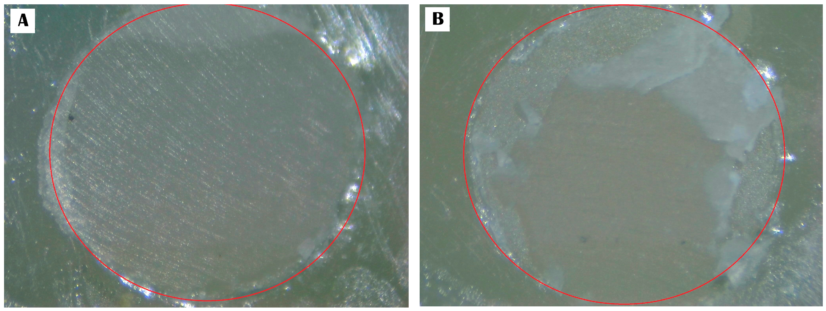 Ceramics 07 00082 g005