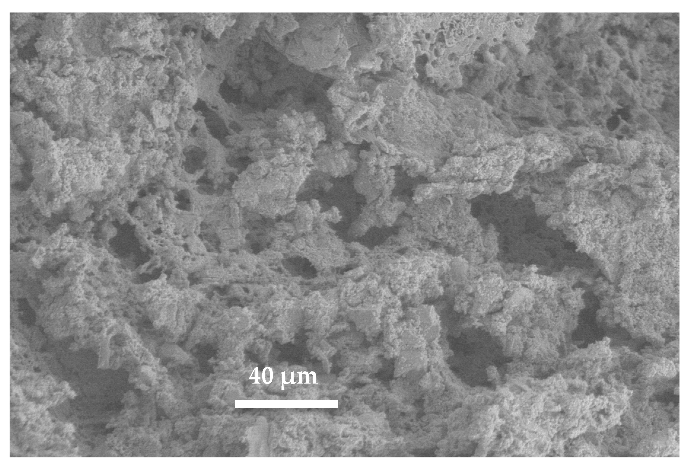 Ceramics 08 00003 g008