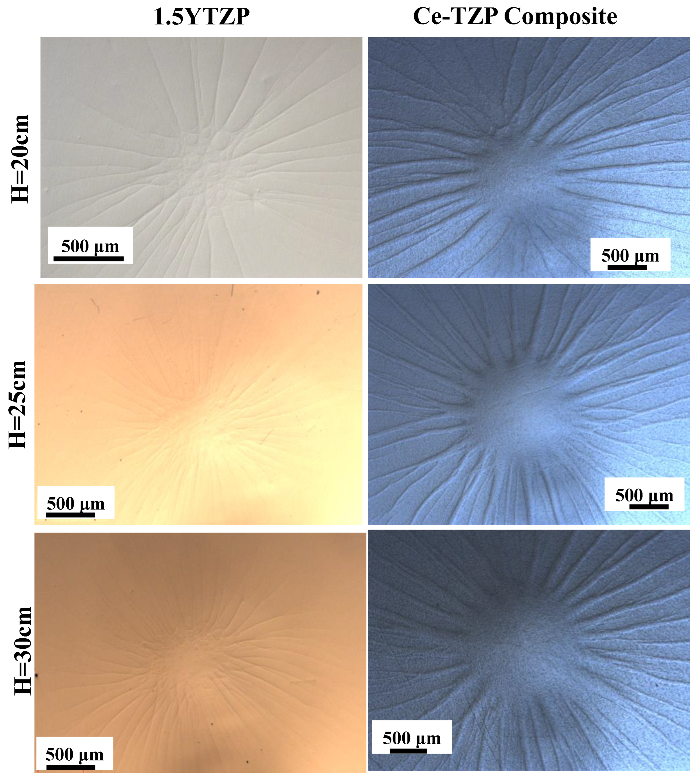 Ceramics 08 00026 g006