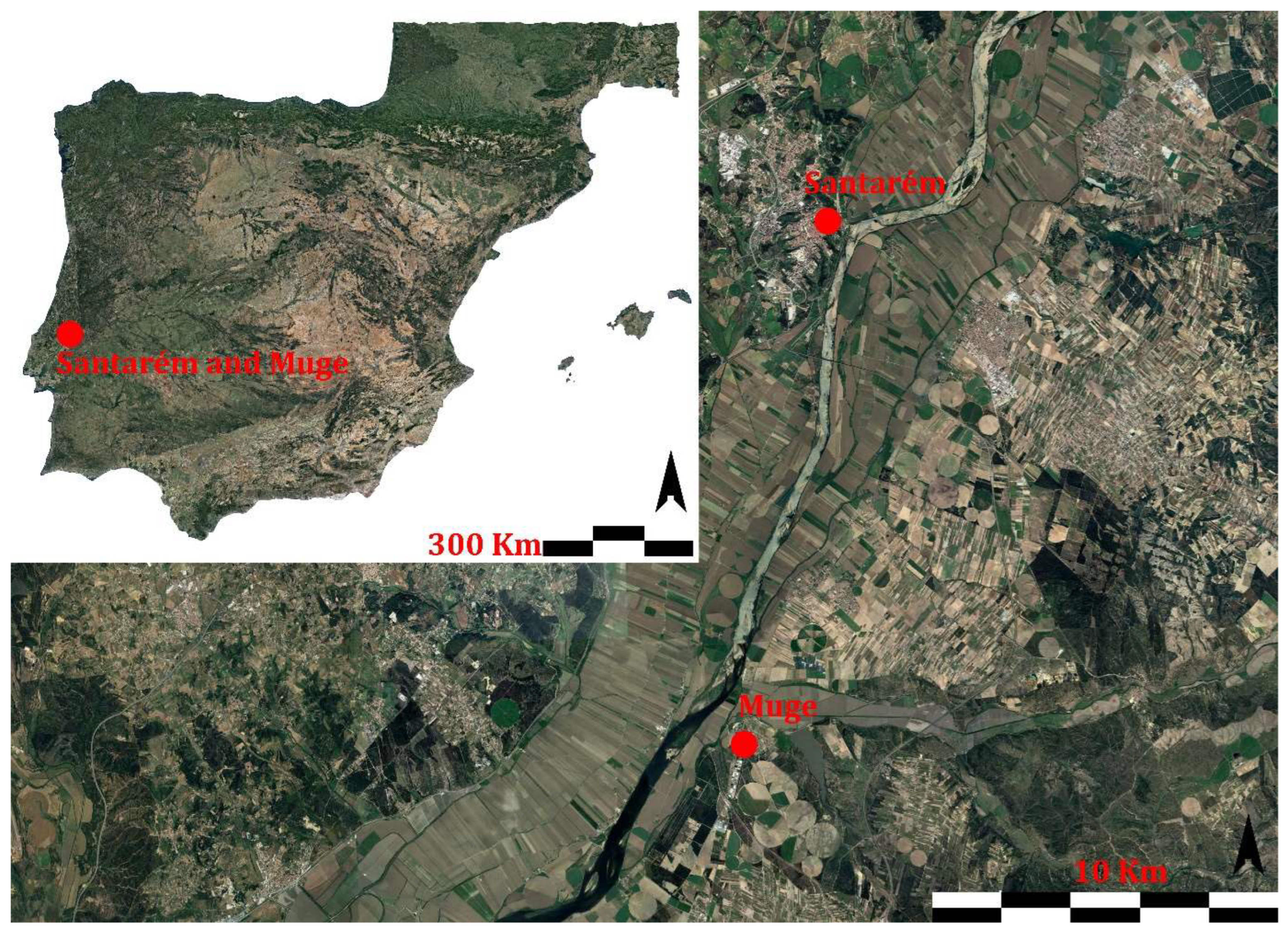 Ceramics 08 00031 g001