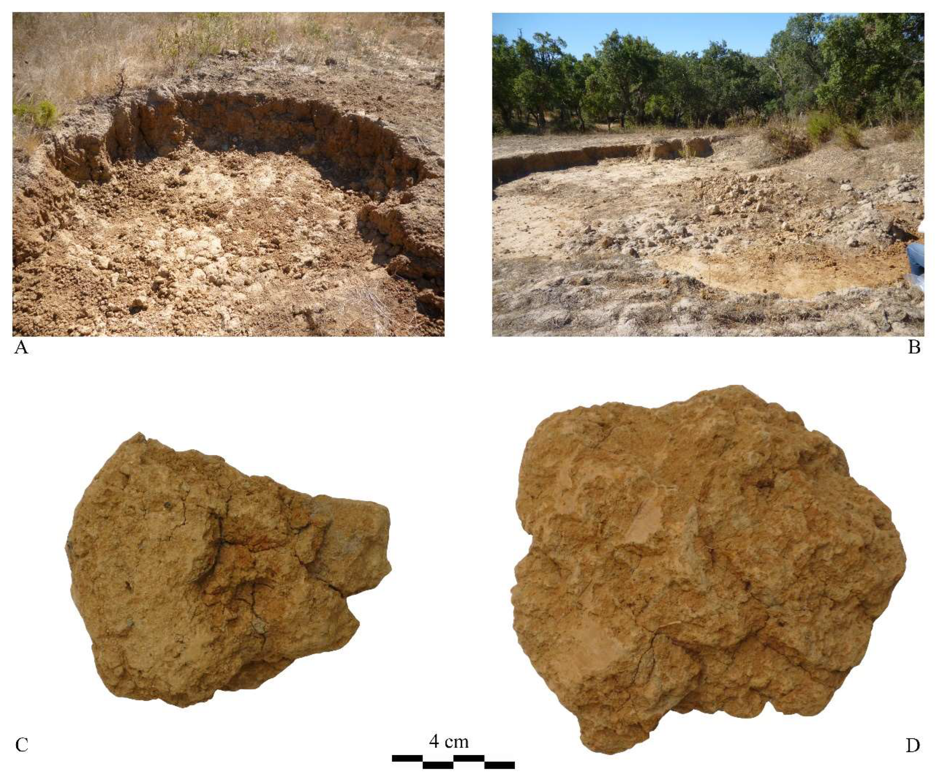 Ceramics 08 00031 g005