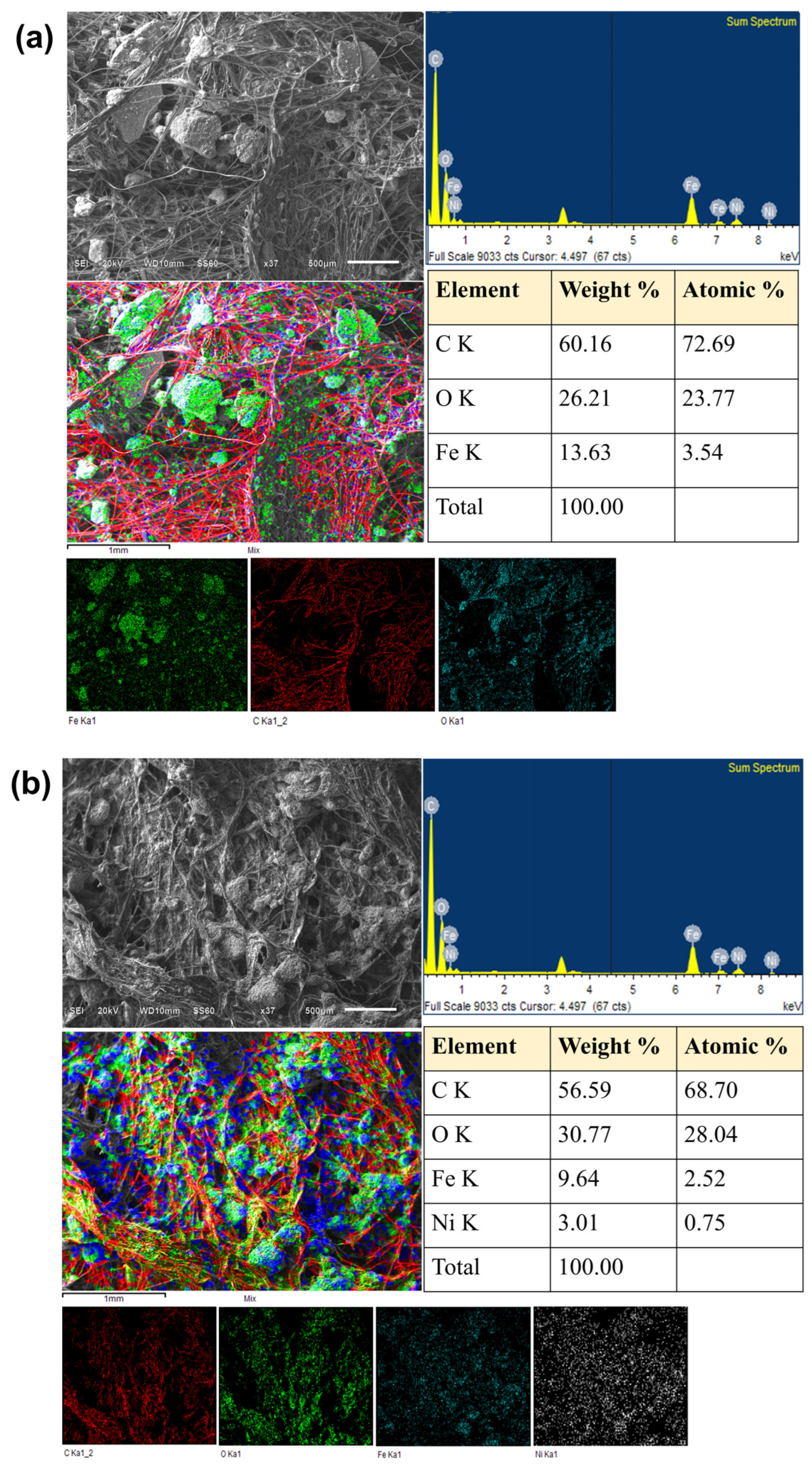 Ceramics 08 00040 g012