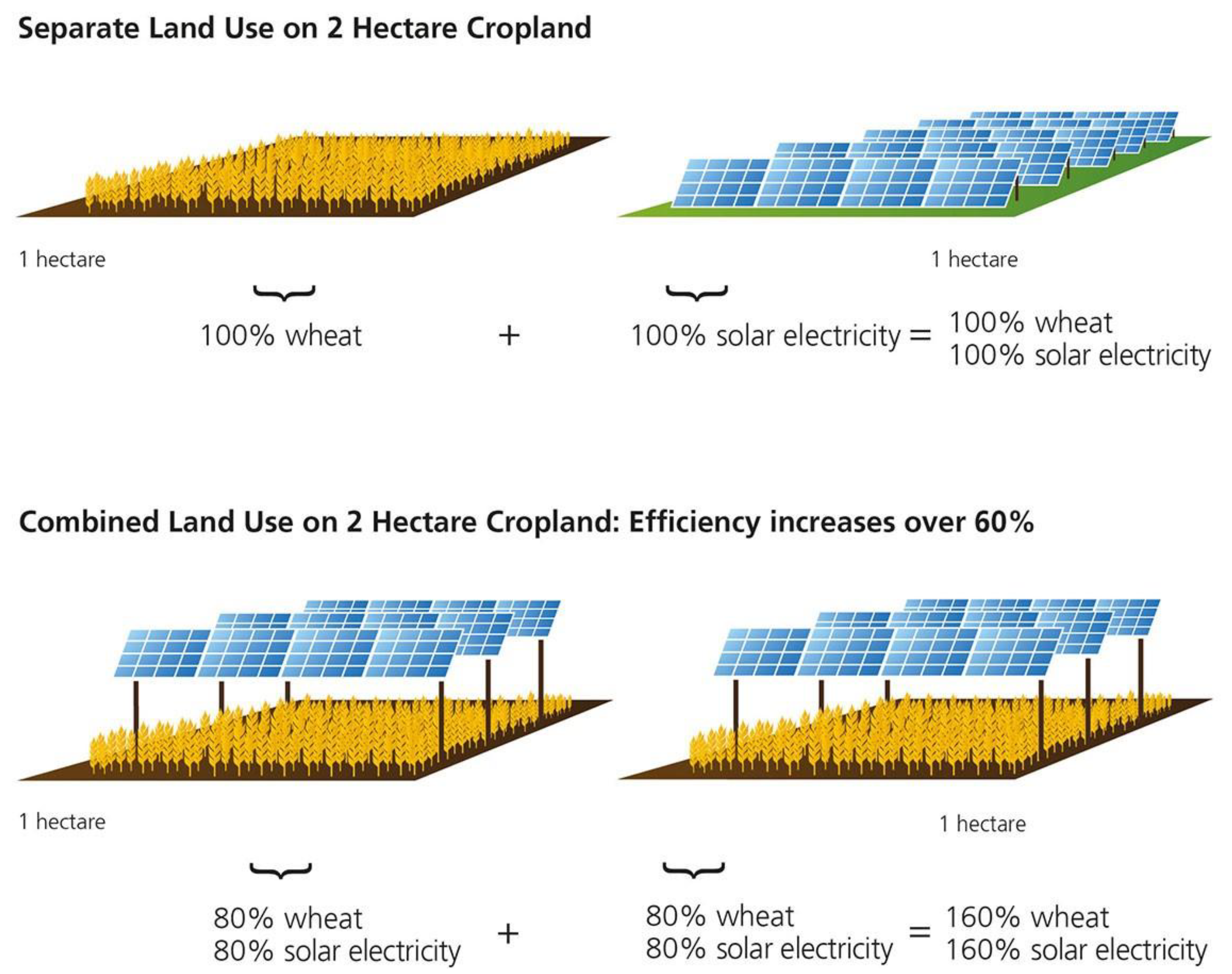 Challenges 13 00043 g002