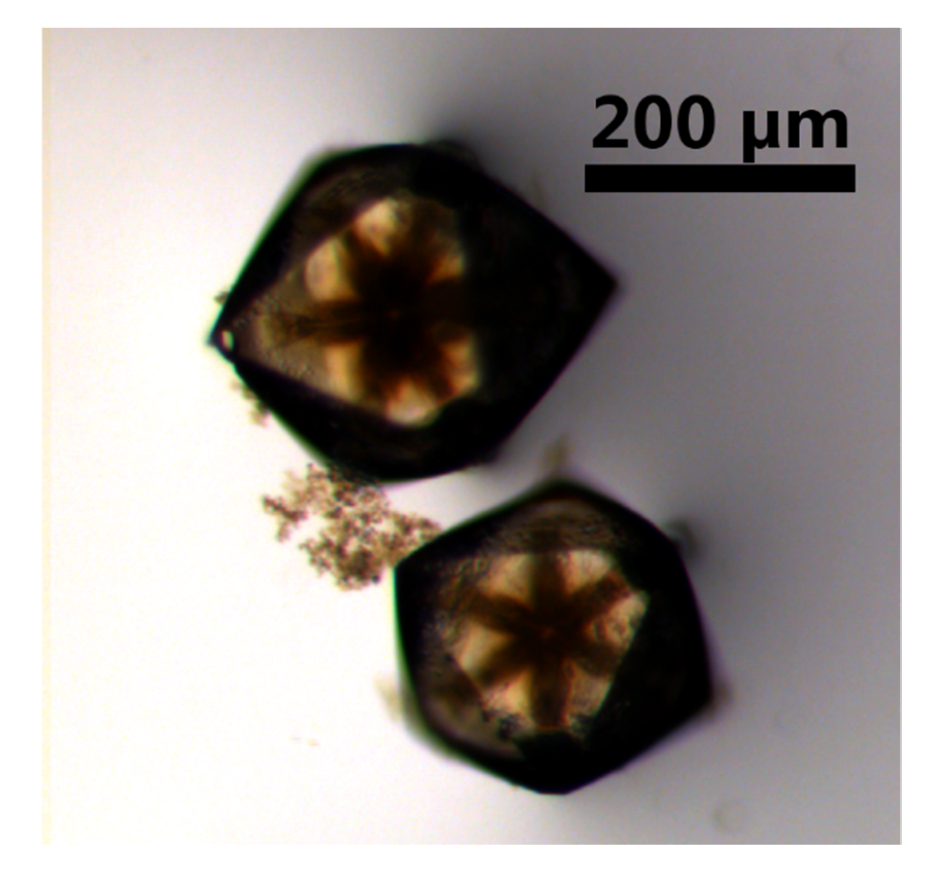 Chemistry 02 00050 g006 Chemistry 02 00050 g006