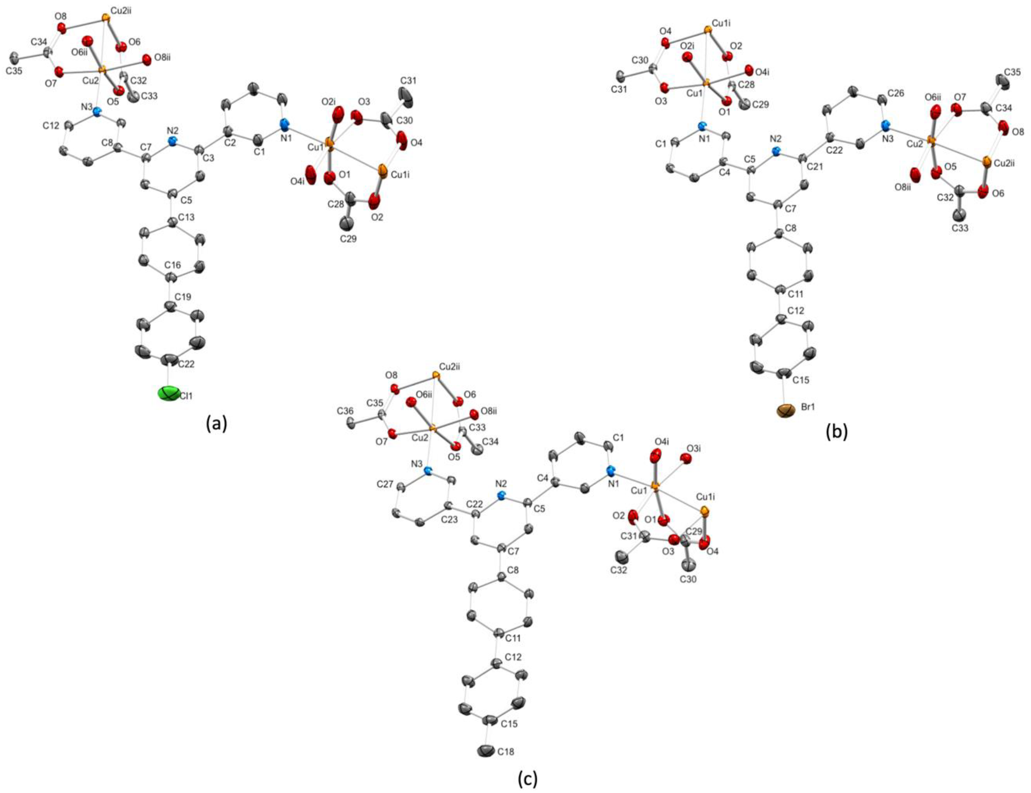 Chemistry Free Full Text Manipulating The Conformation Of 3 2 6 3 Terpyridine In Cu2 M Oac 4 3 2 6 3 Tpy N 1d Polymers Html