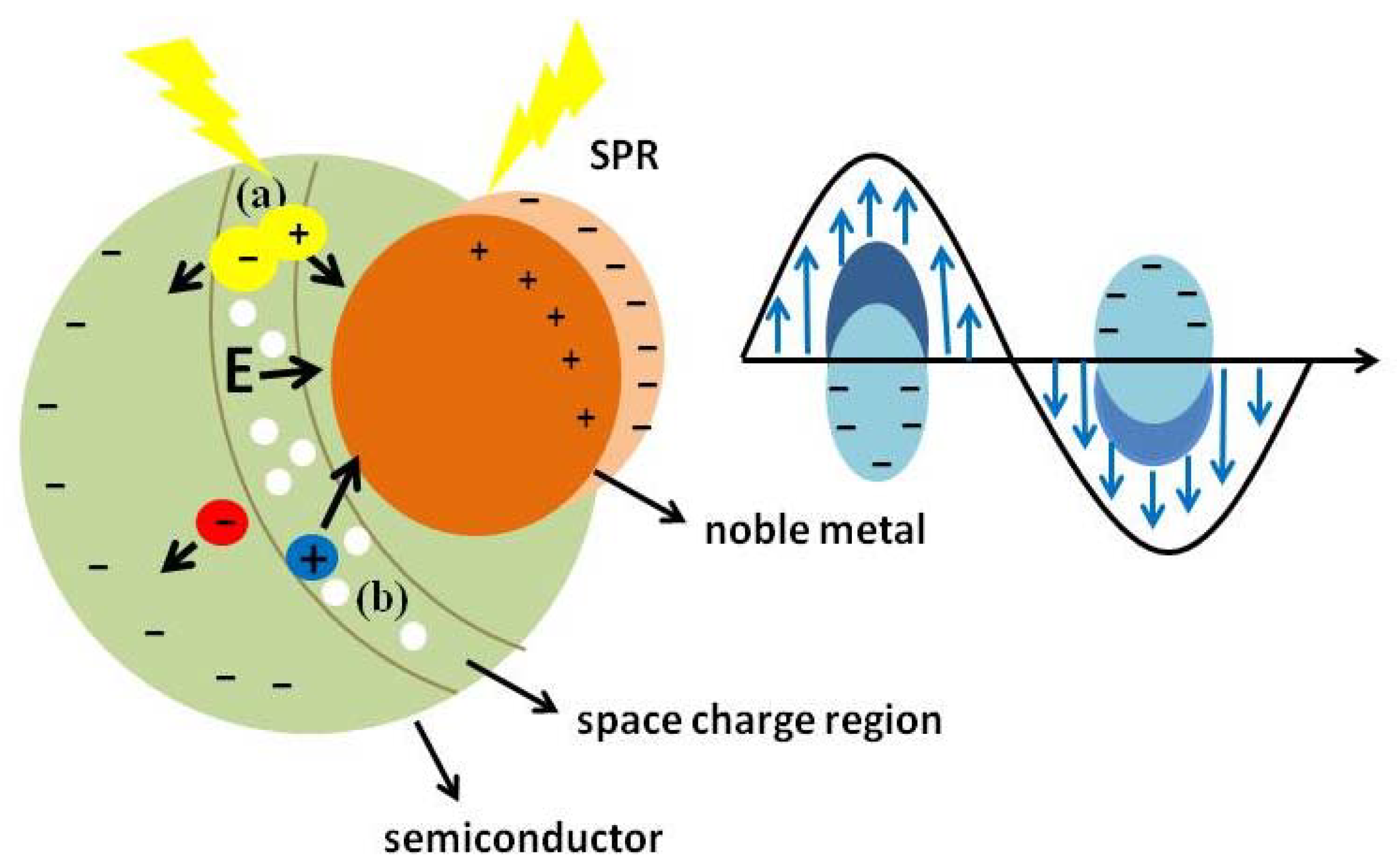 Chemistry 04 00034 g010