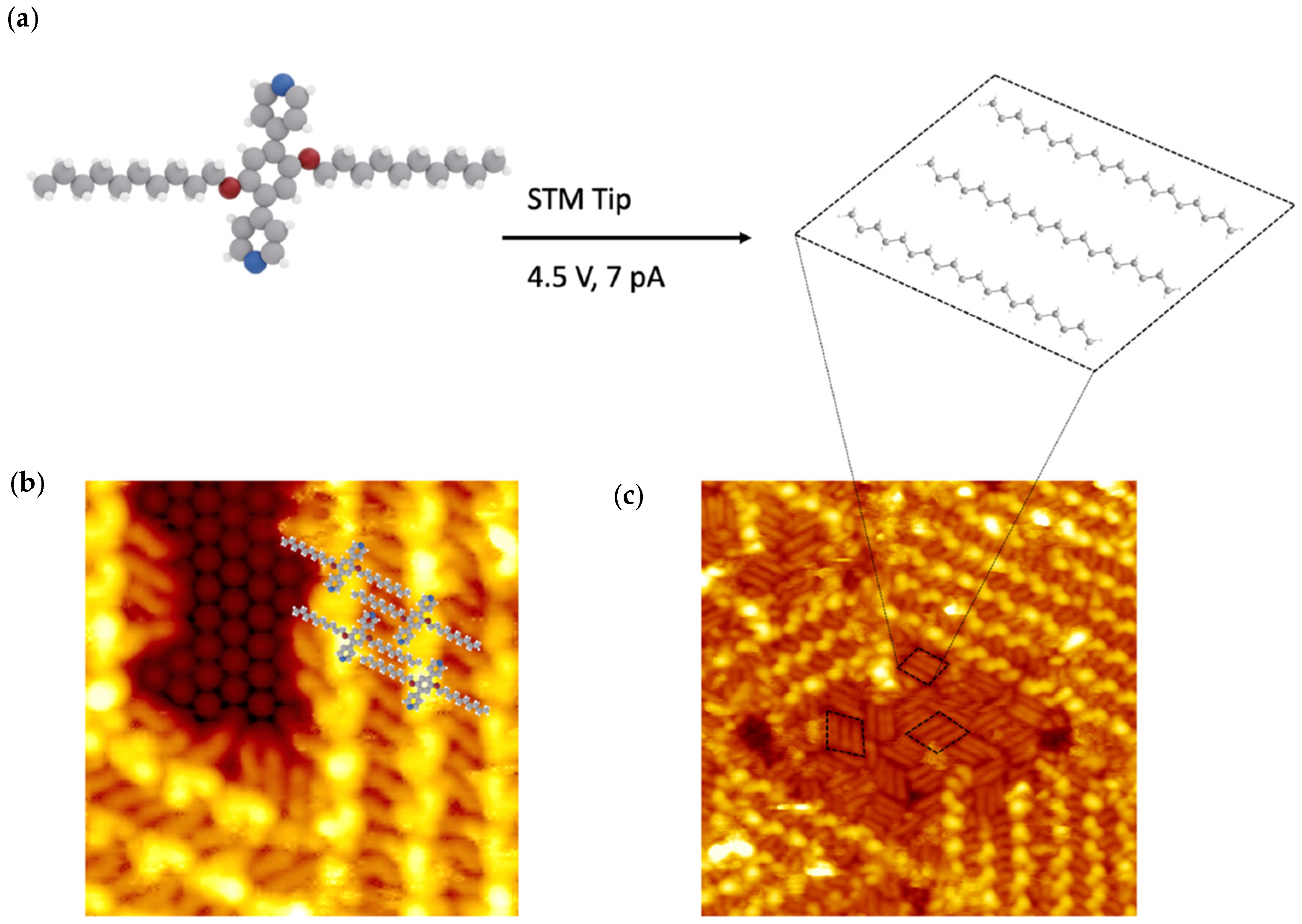 Chemistry 04 00057 g005
