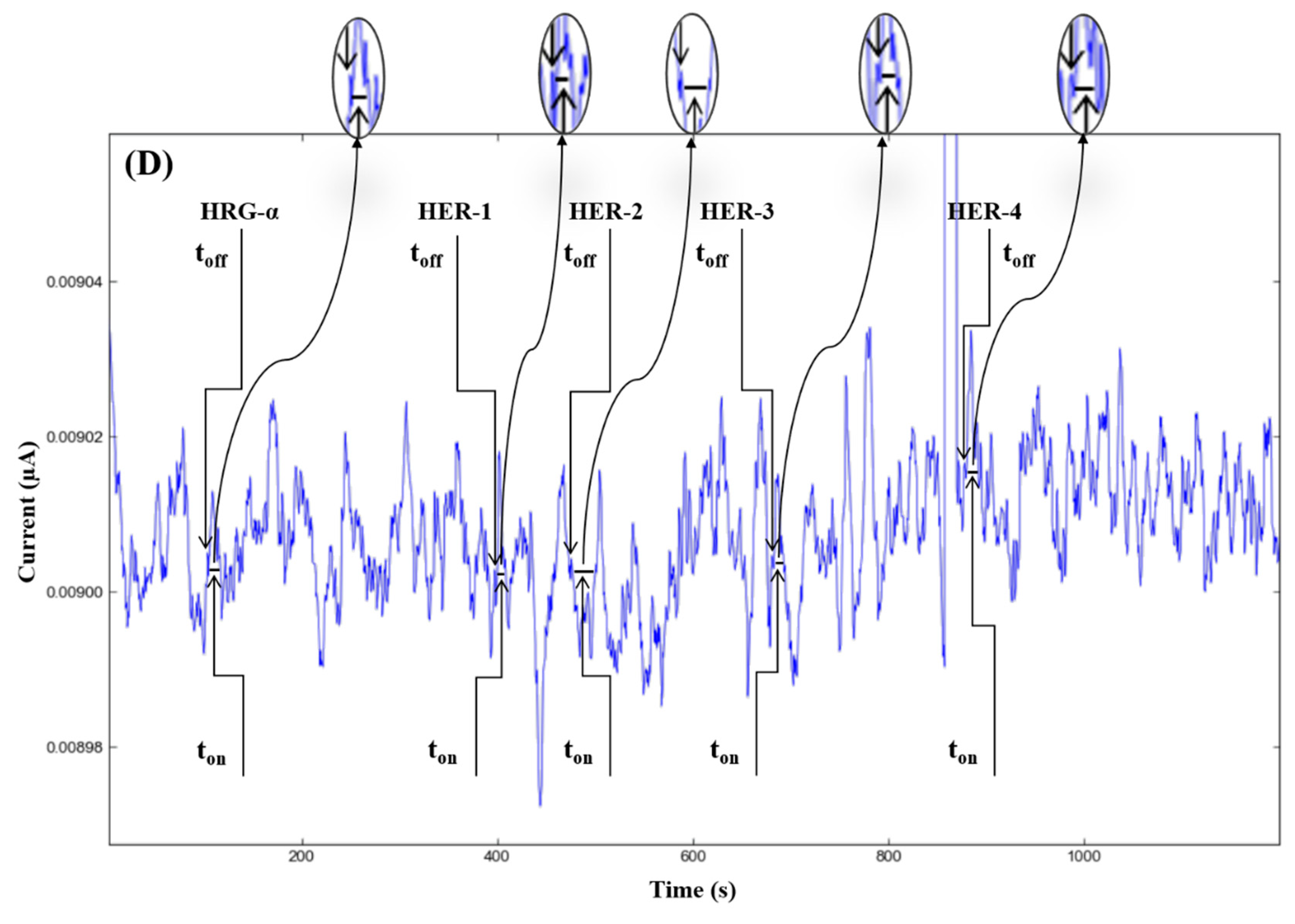 Chemistry 04 00090 g002c Chemistry 04 00090 g002c