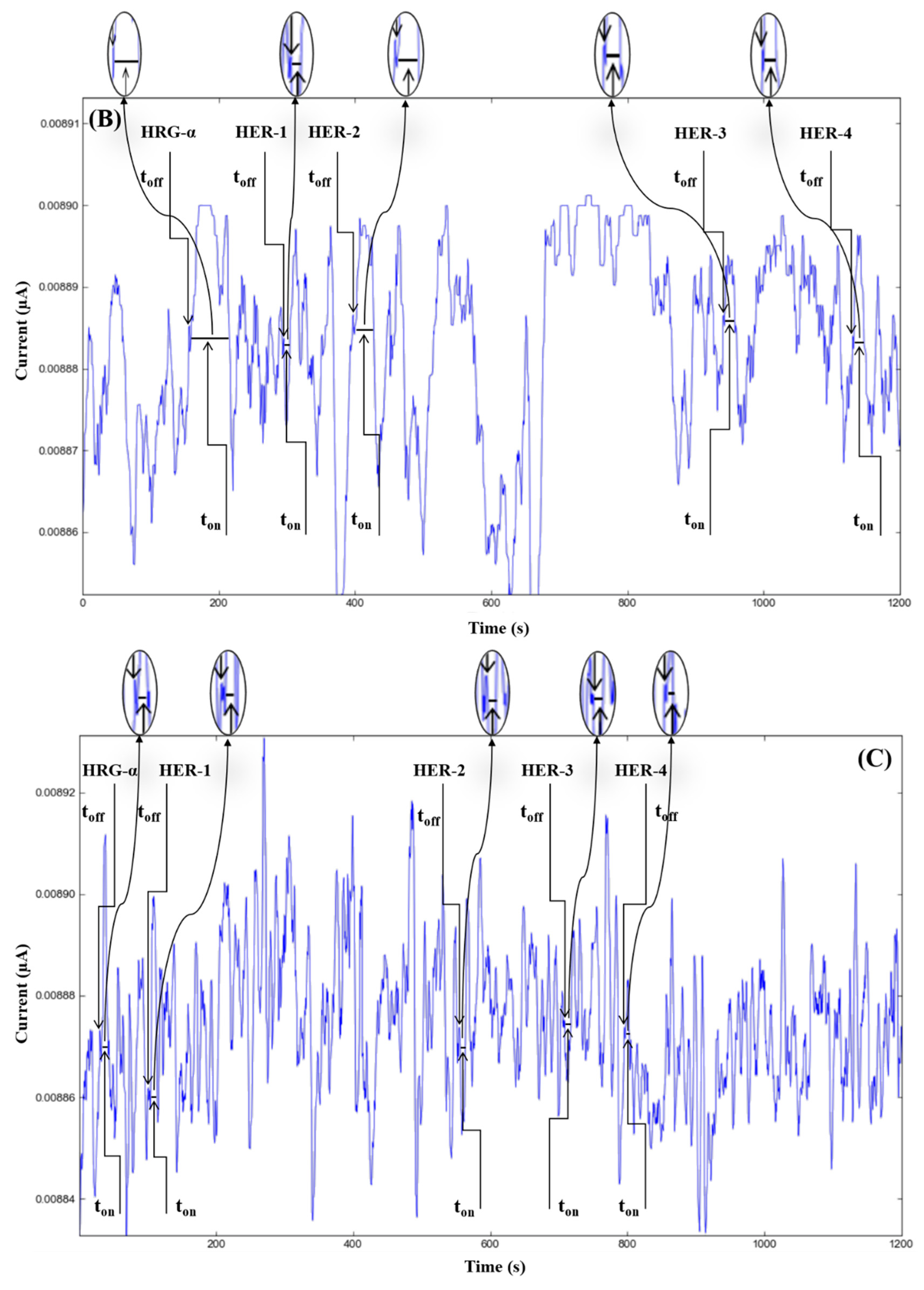 Chemistry 04 00090 g003b Chemistry 04 00090 g003b