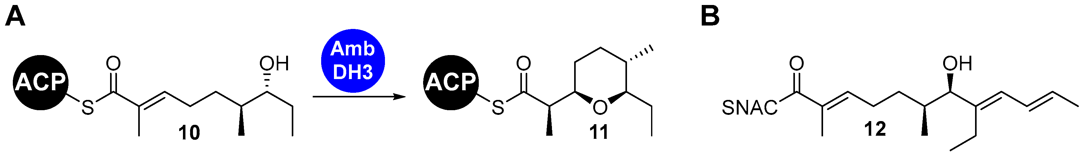 Chemistry 05 00096 g003