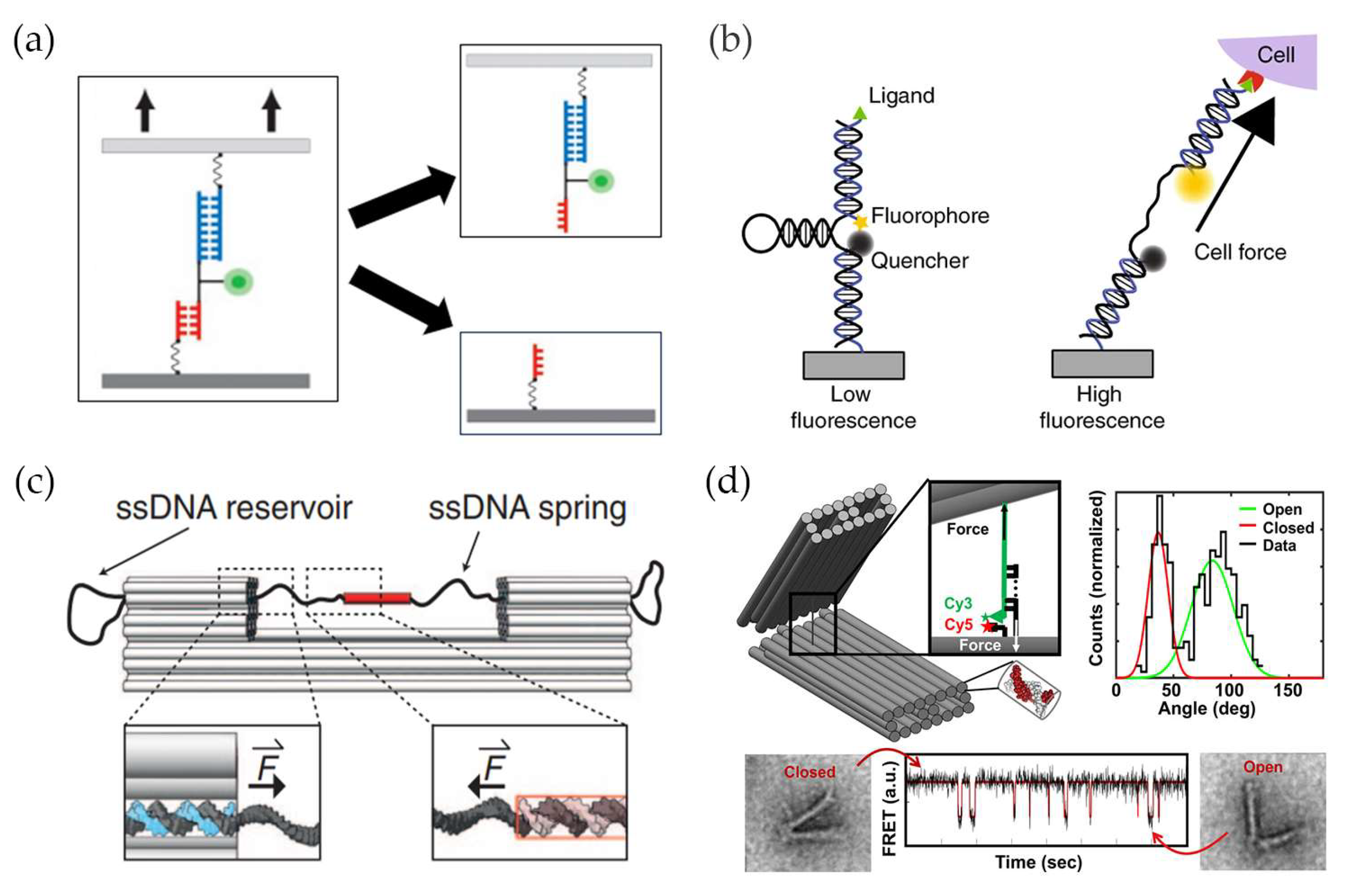 Chemistry 05 00106 g001