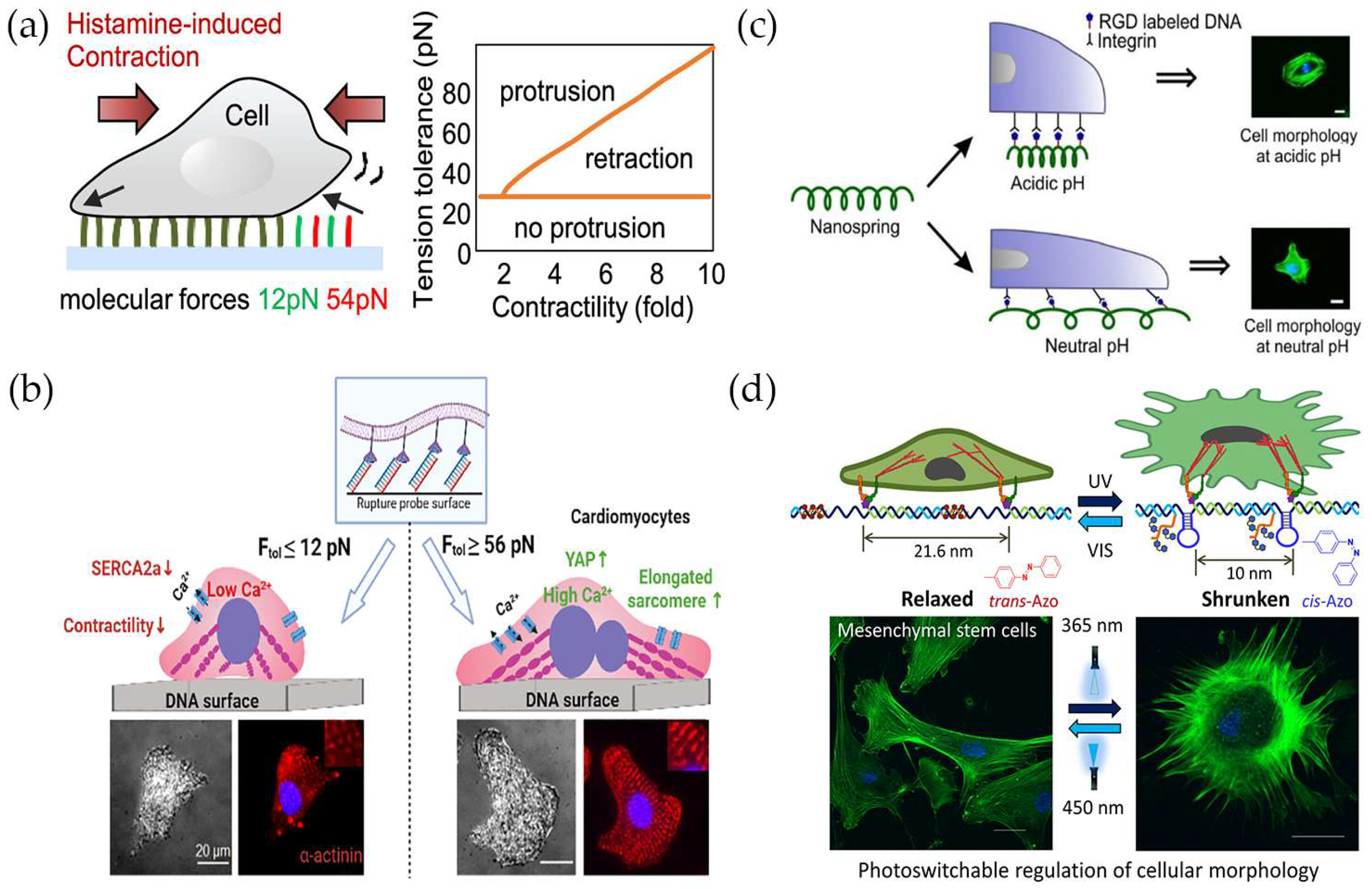 Chemistry 05 00106 g005