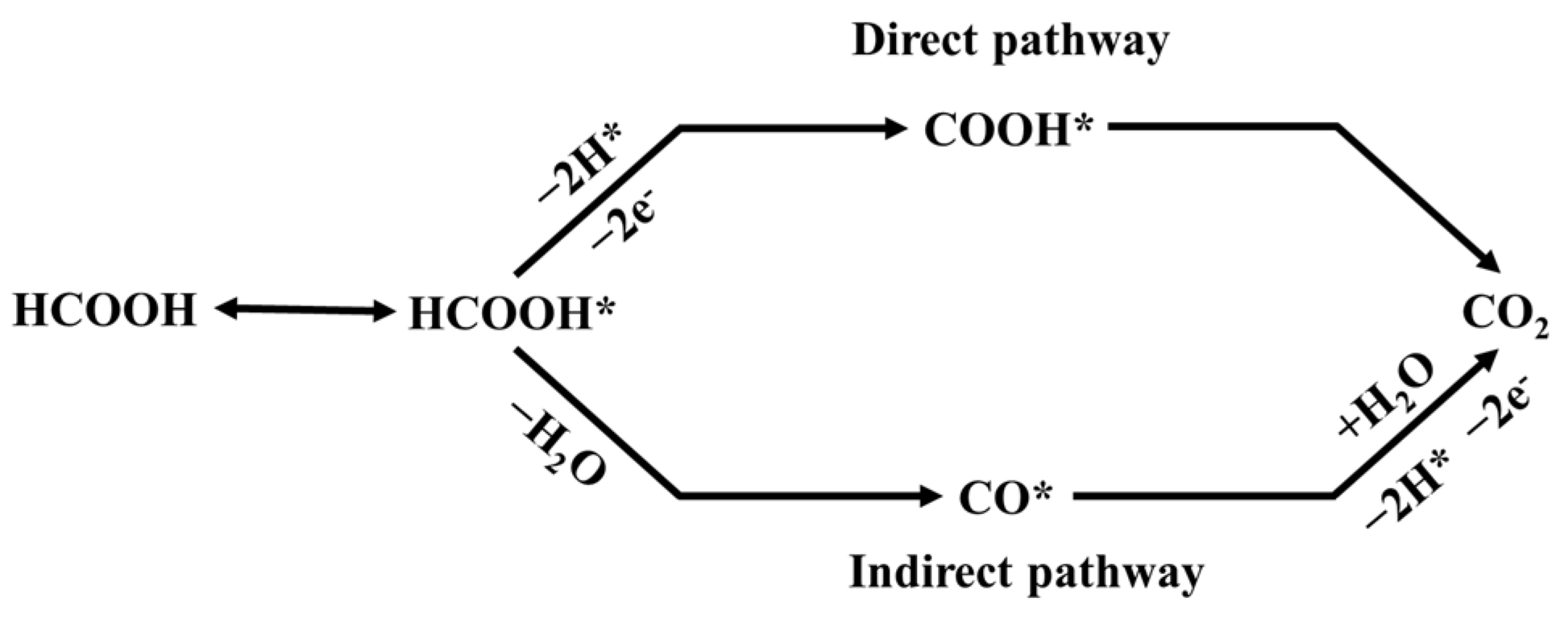 Chemistry 05 00111 sch001
