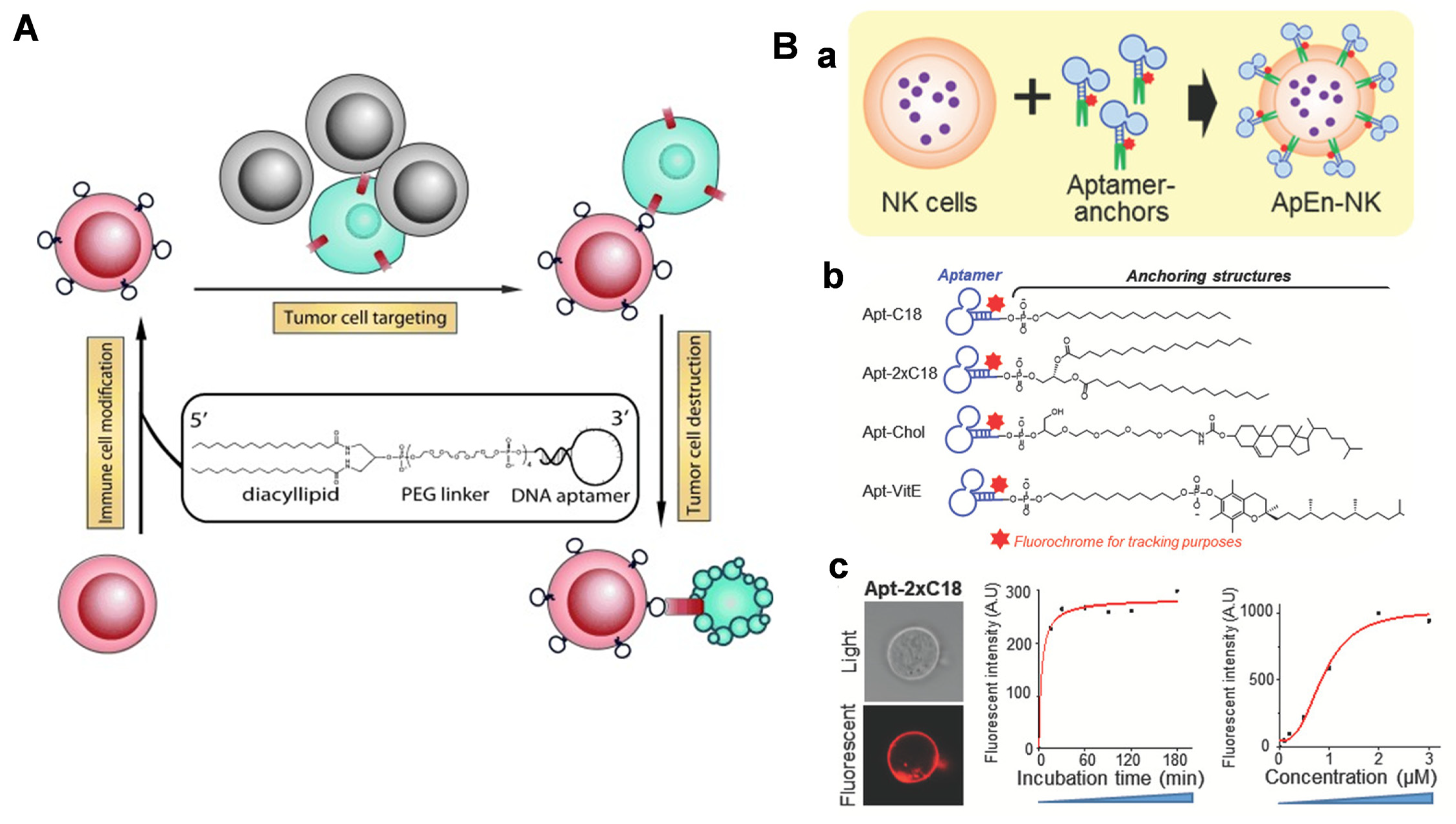 Chemistry 05 00114 g010