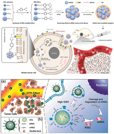 Chemistry | Free Full-Text | Peptide-Based Vectors for Gene Delivery