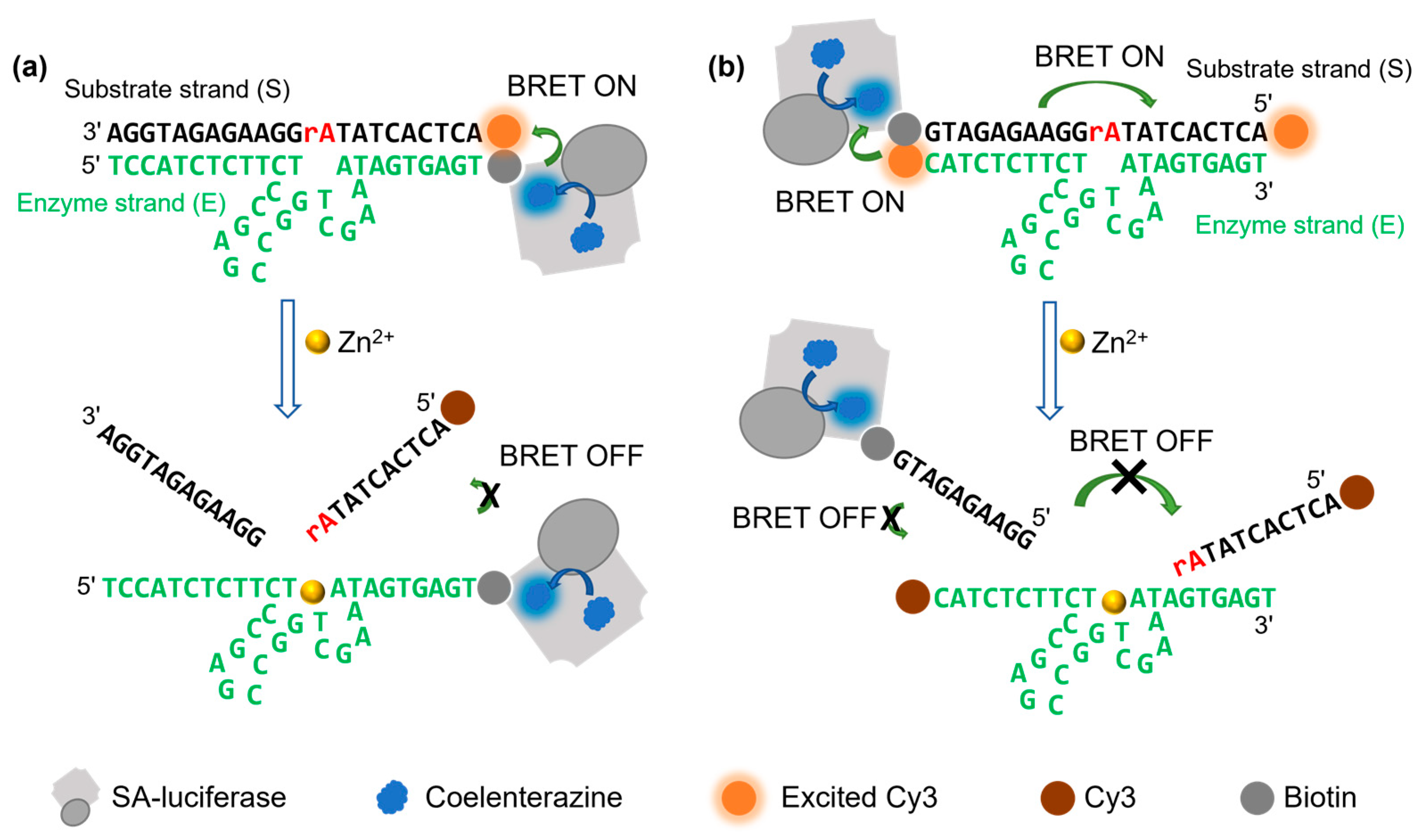 Chemistry 05 00119 g001 Chemistry 05 00119 g001