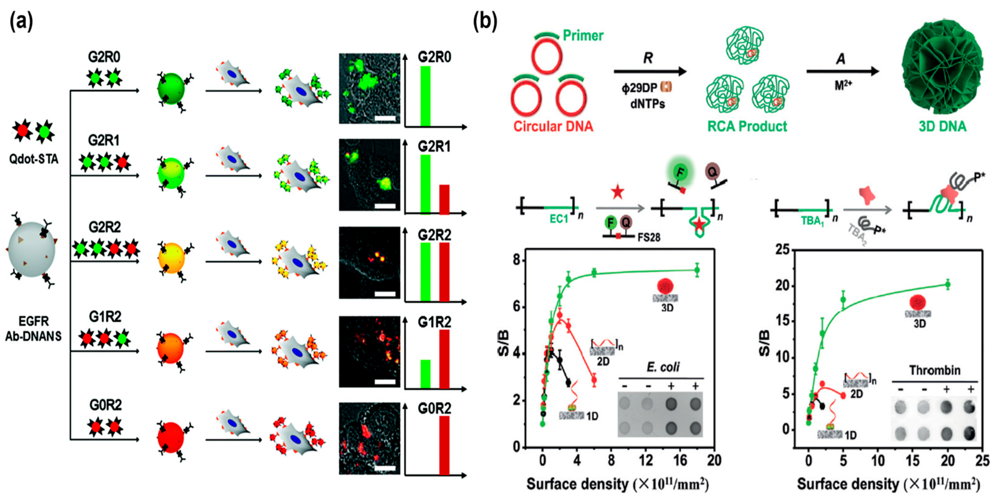Chemistry 05 00129 g006