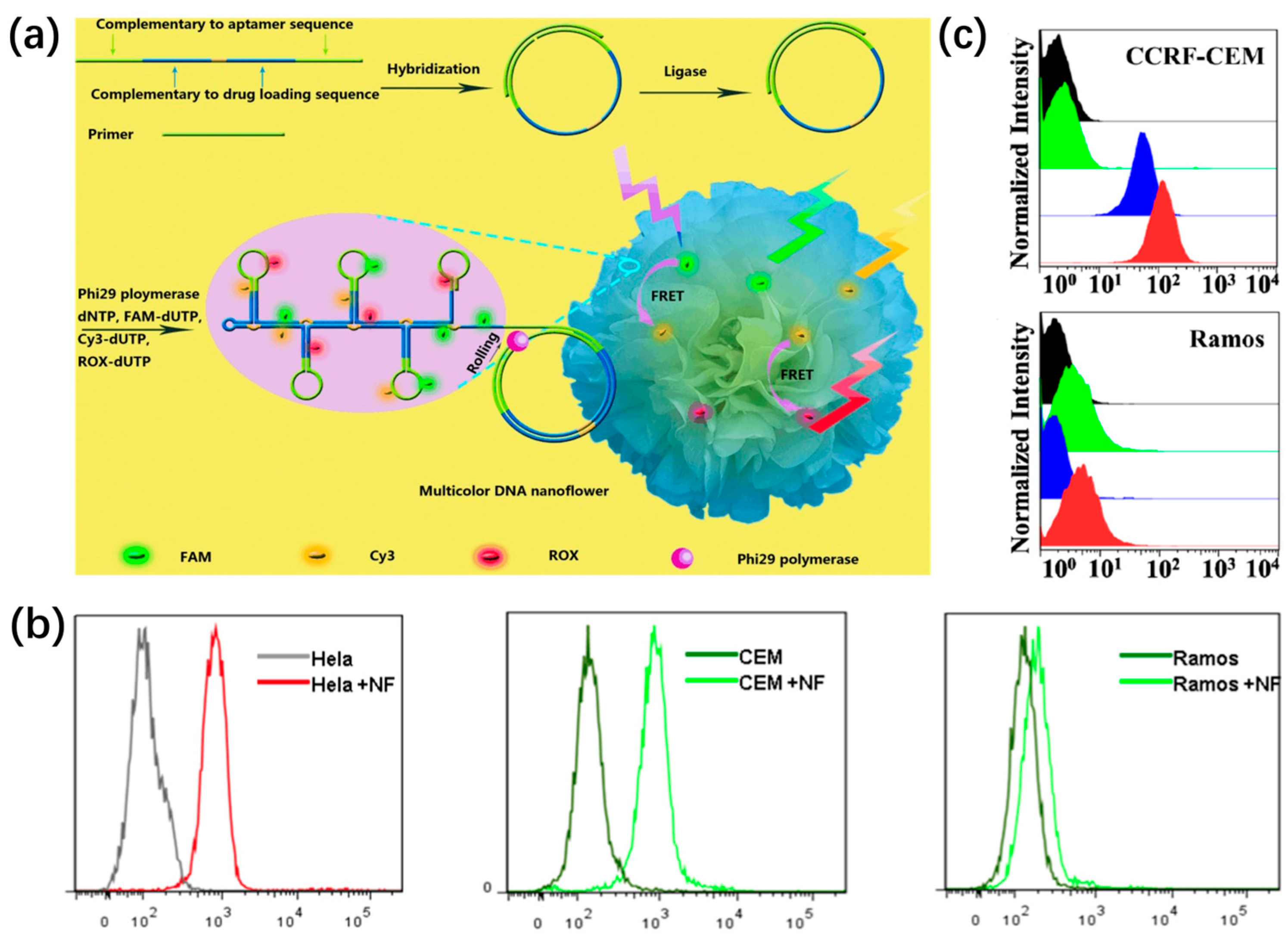 Chemistry 05 00129 g007