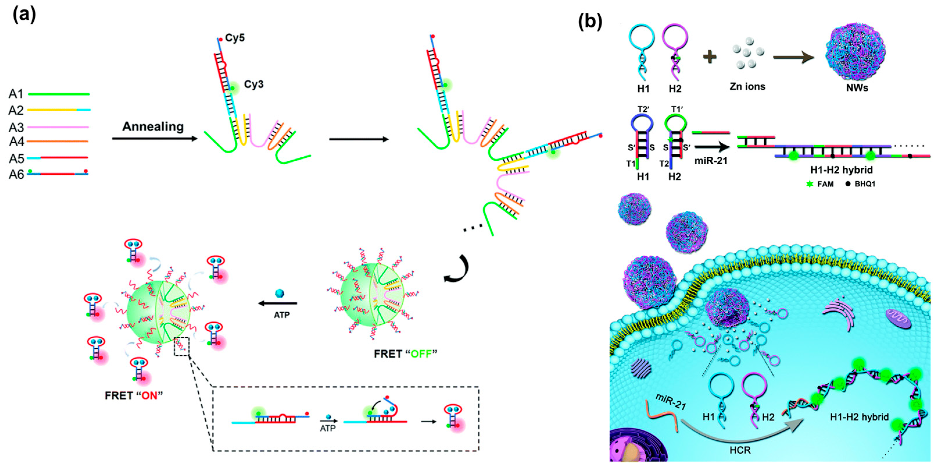 Chemistry 05 00129 g011