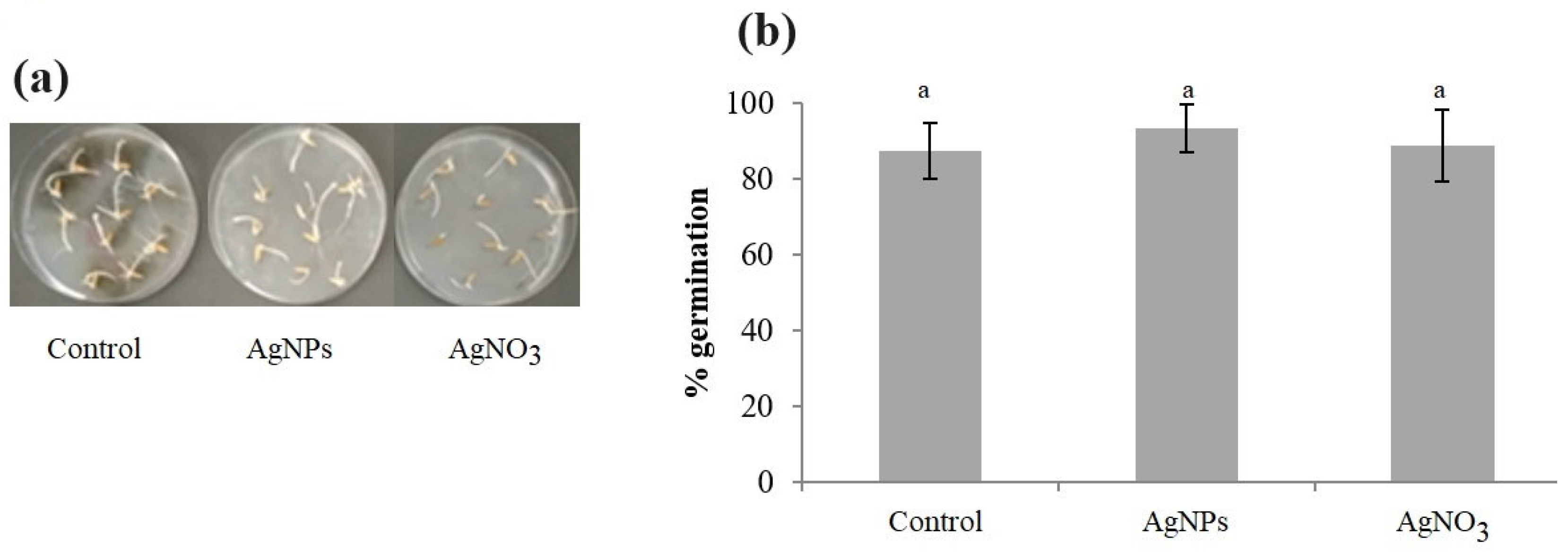Chemistry 05 00143 g008