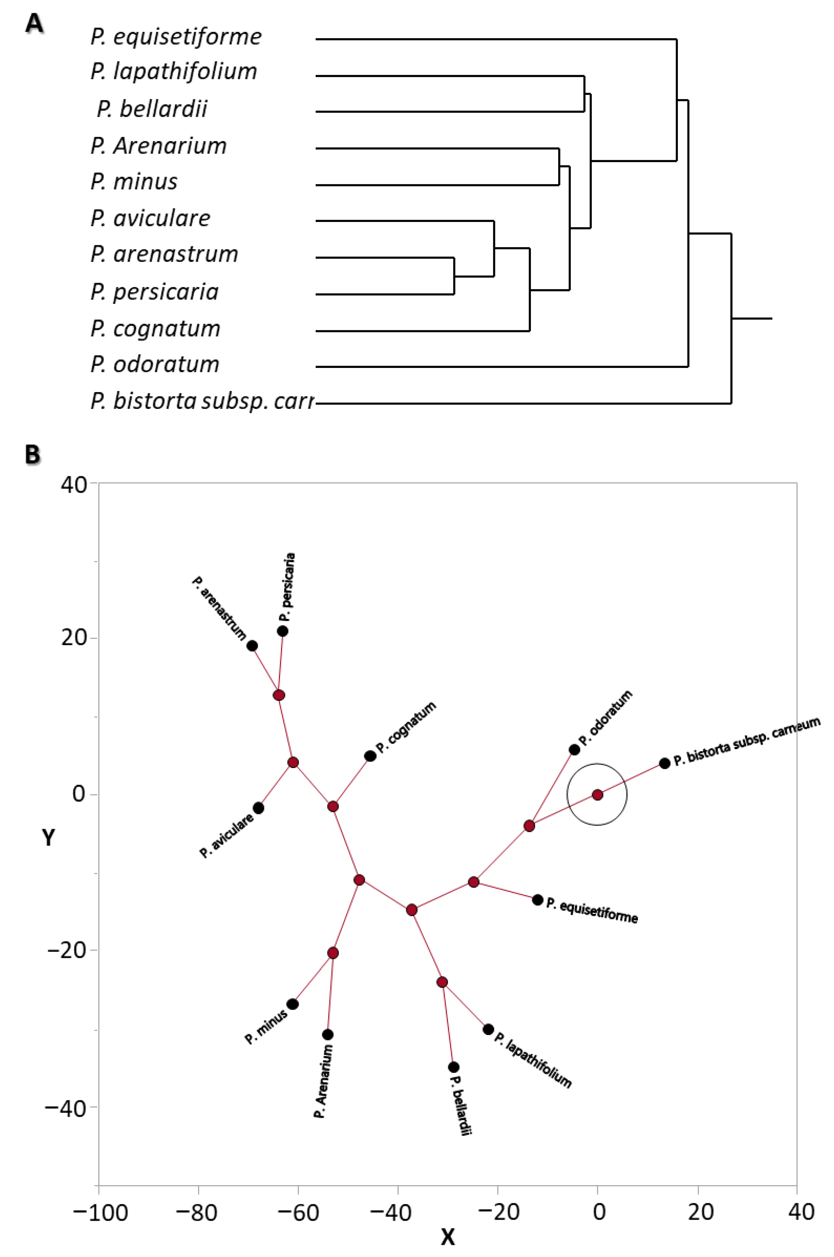 Chemistry 05 00151 g004