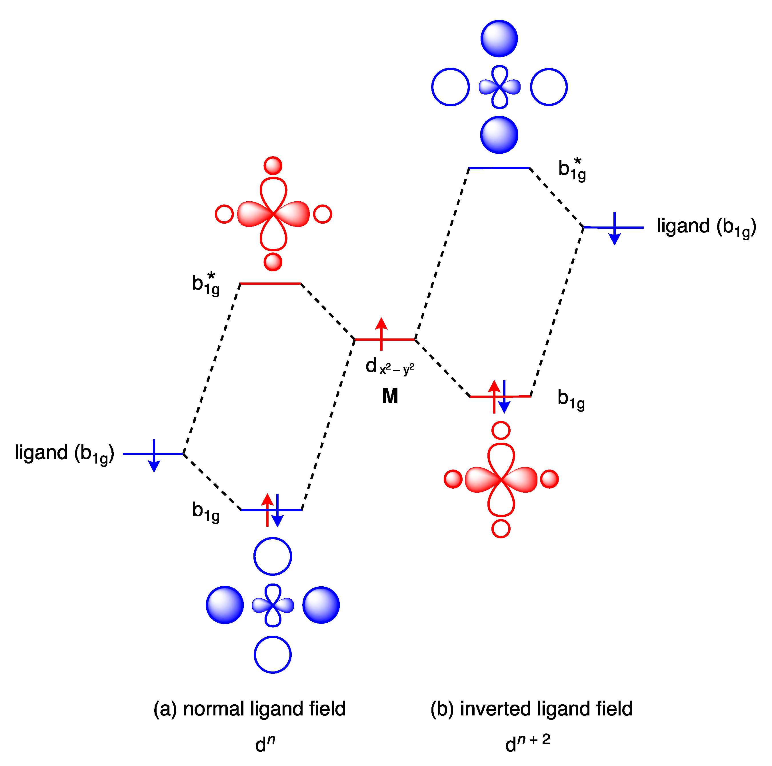 Chemistry 05 00170 g017