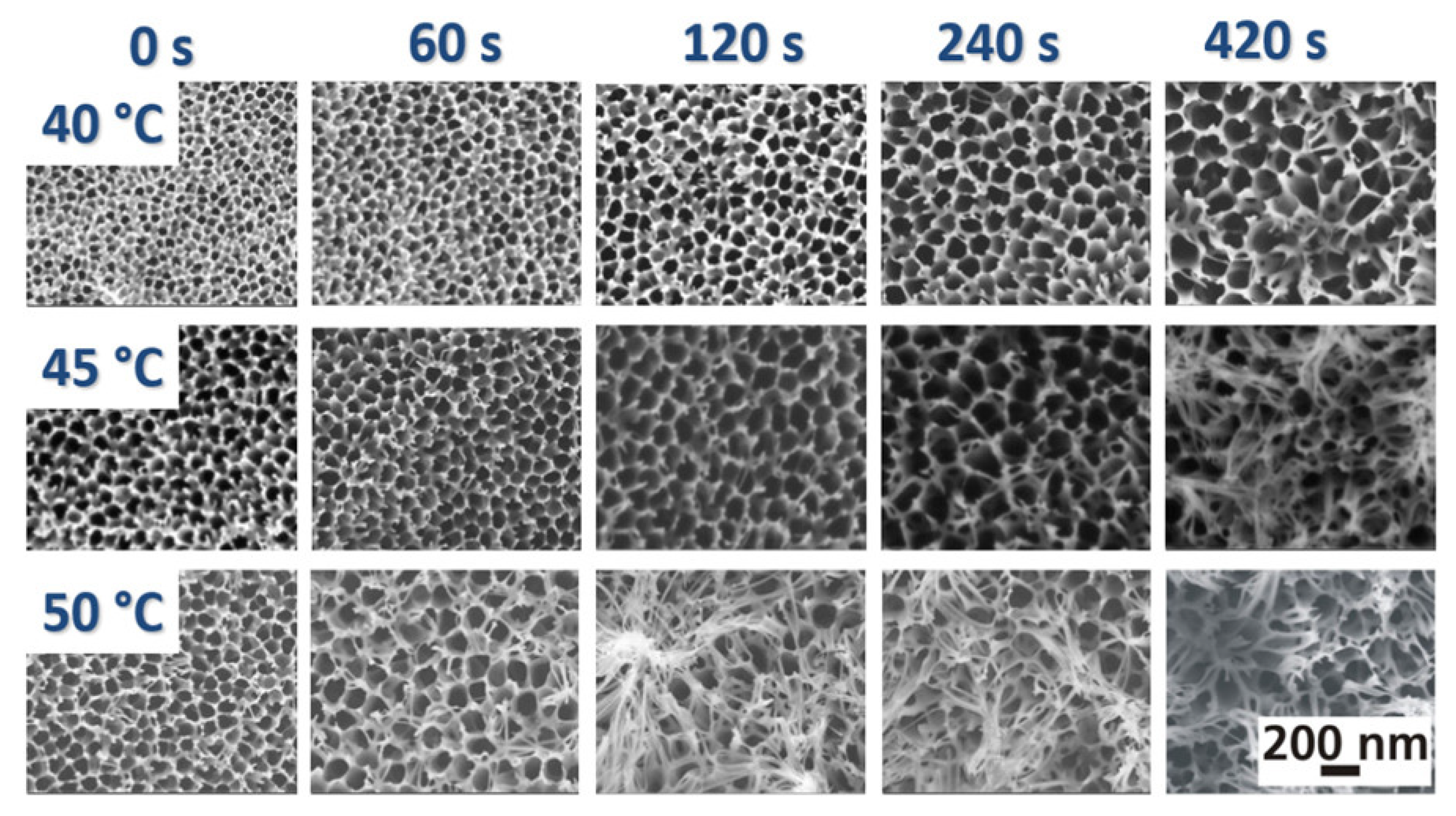 Chemistry 06 00024 g004 Chemistry 06 00024 g004