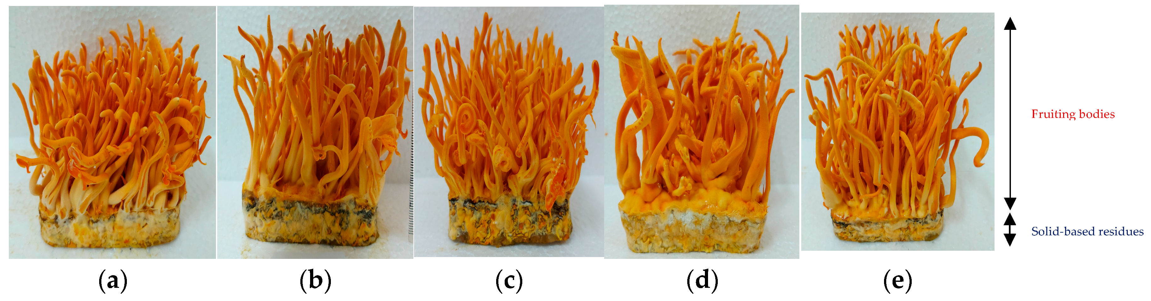 Chemistry 06 00030 g002