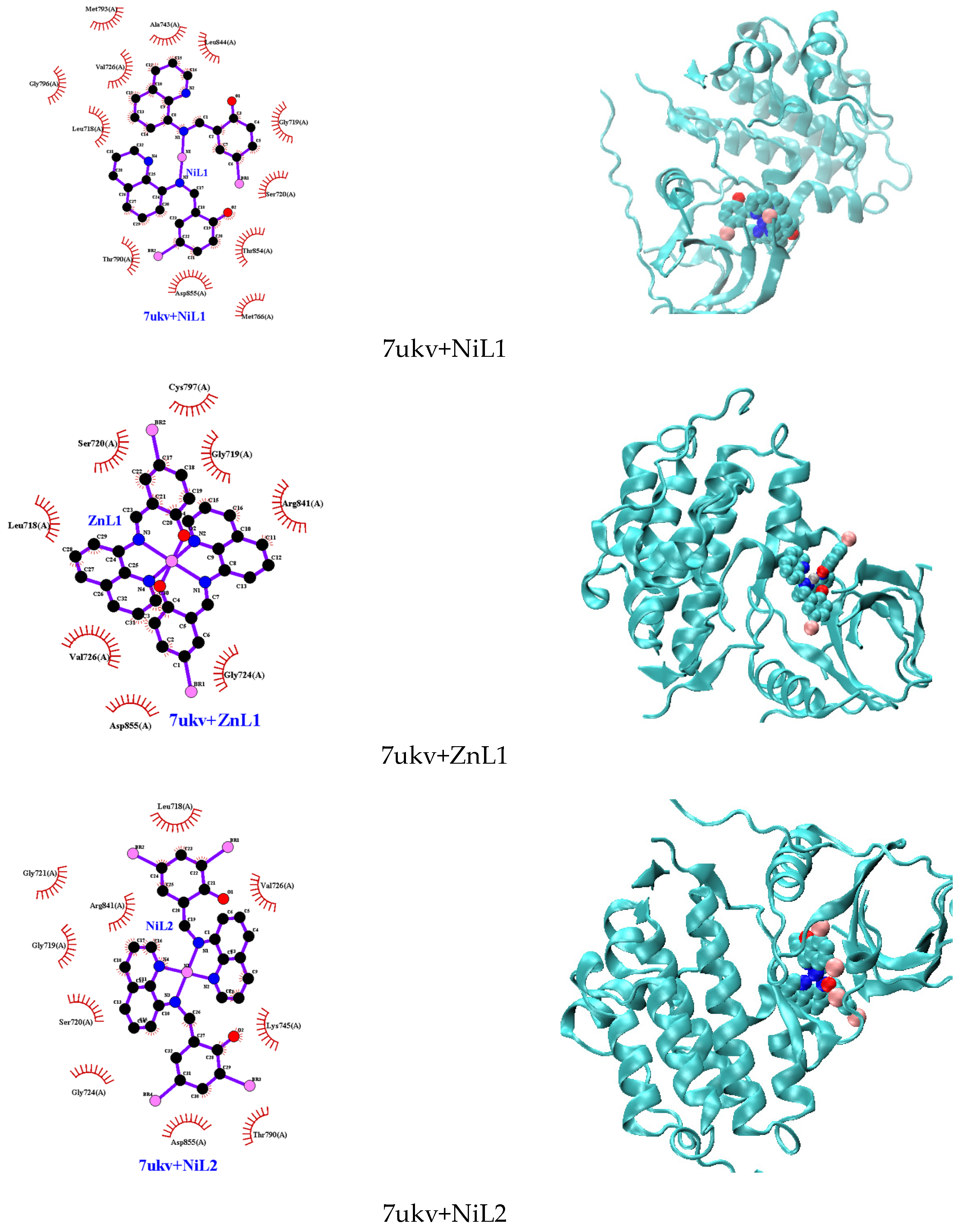 Chemistry 06 00037 g010