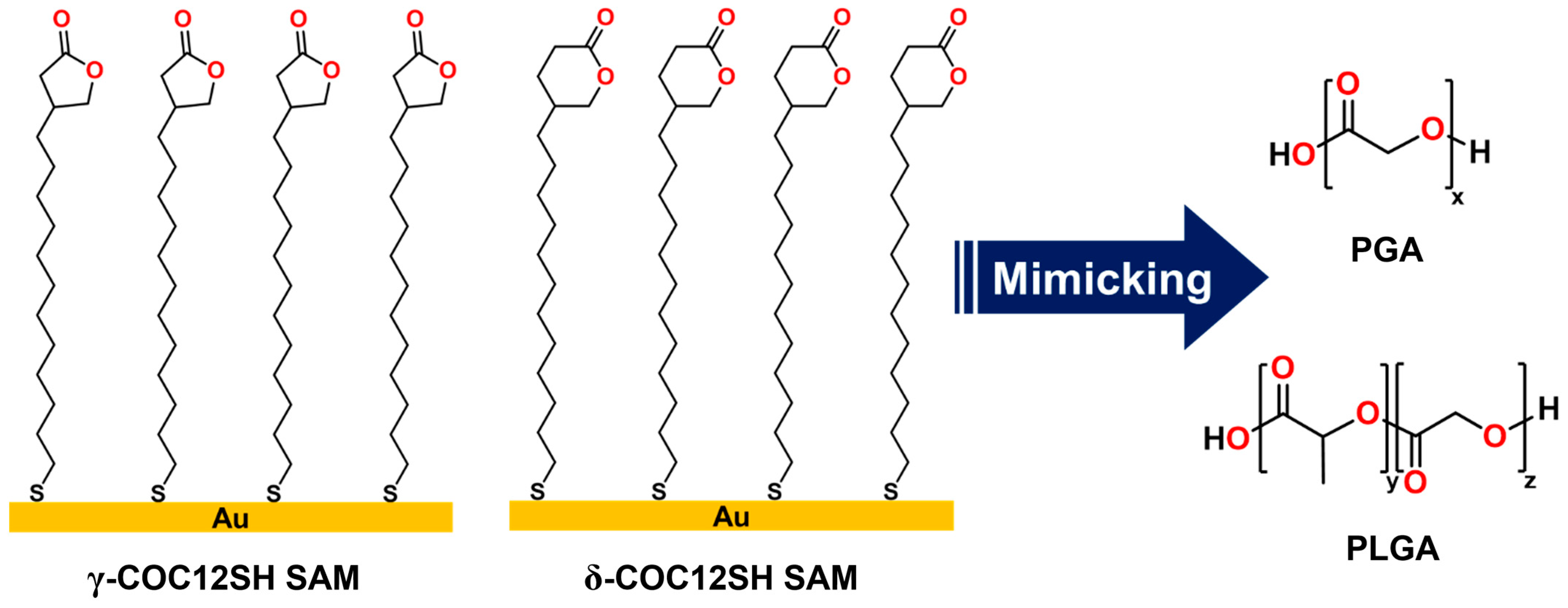 Chemistry 06 00039 g001