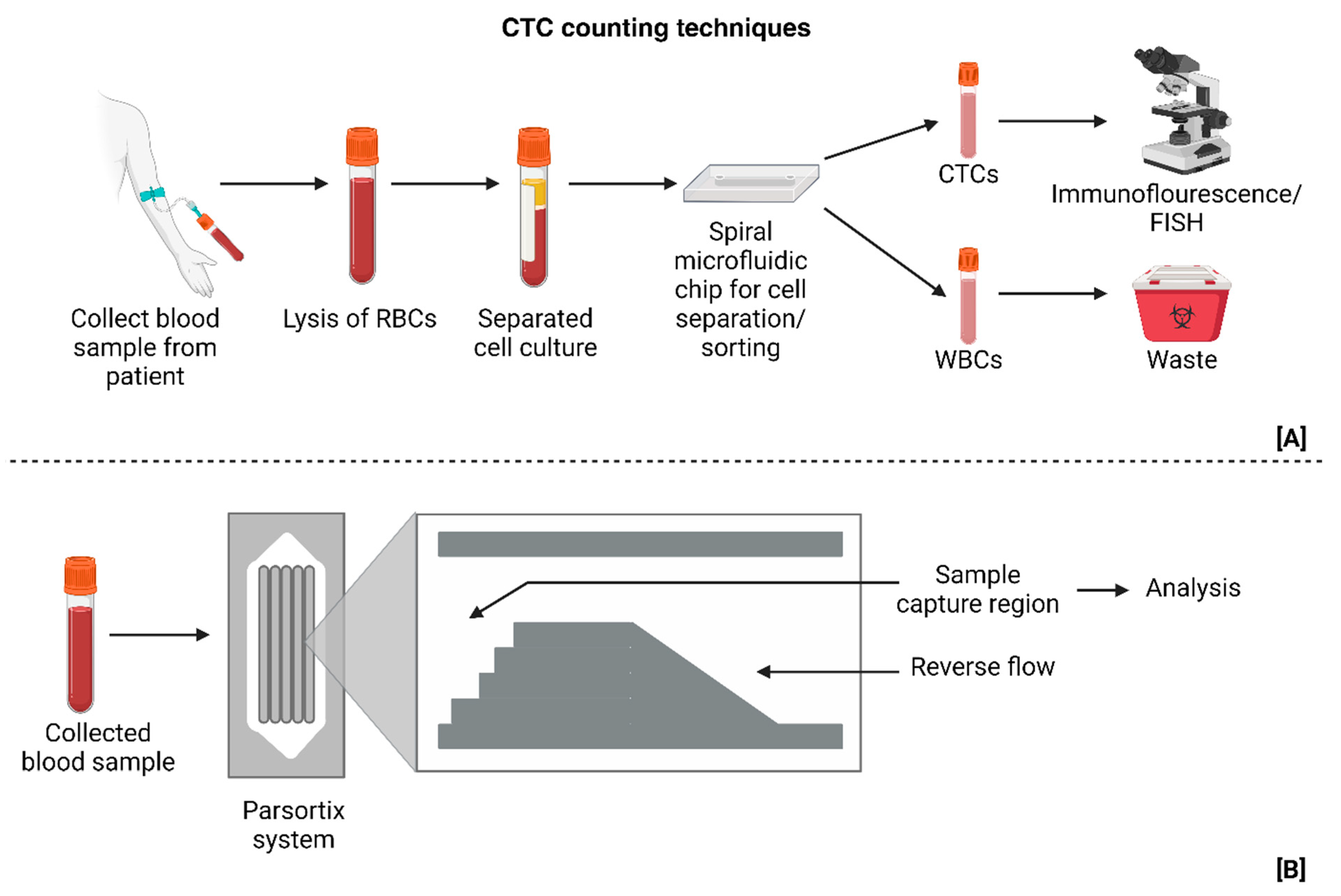 Chemistry 06 00060 g007