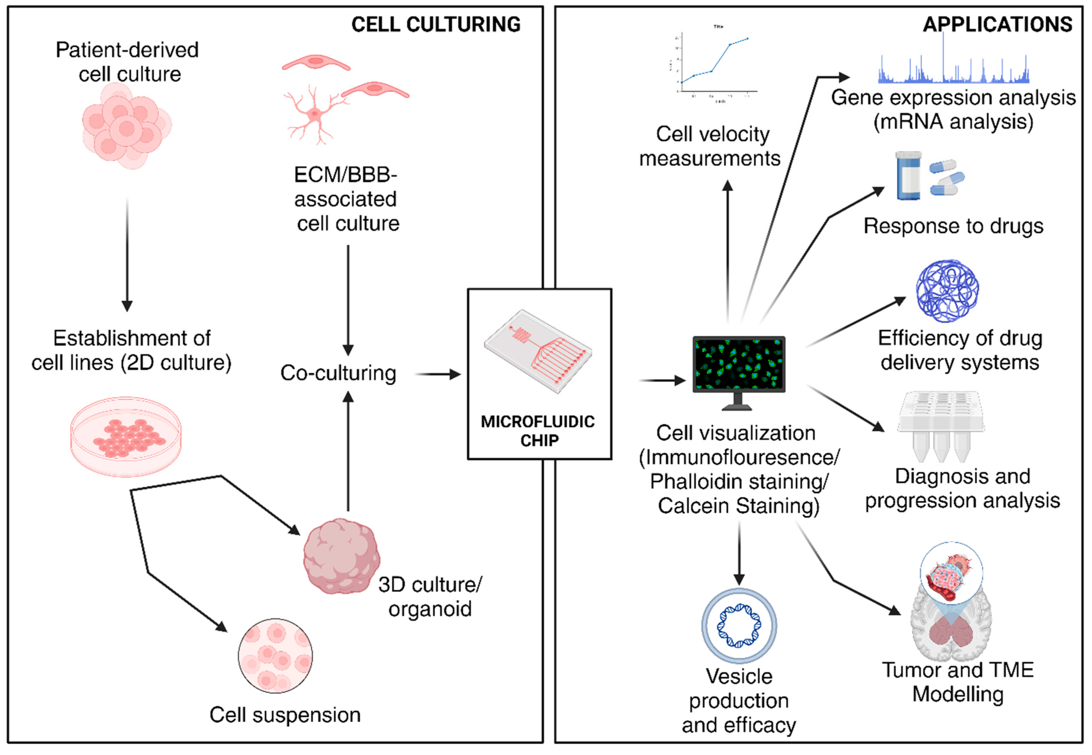 Chemistry 06 00060 g010