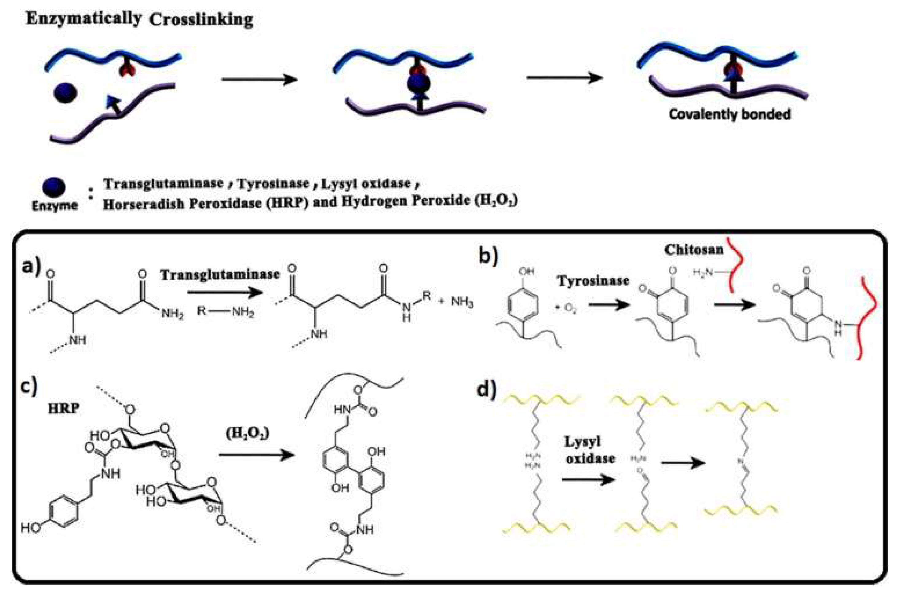 Chemistry 07 00061 g006