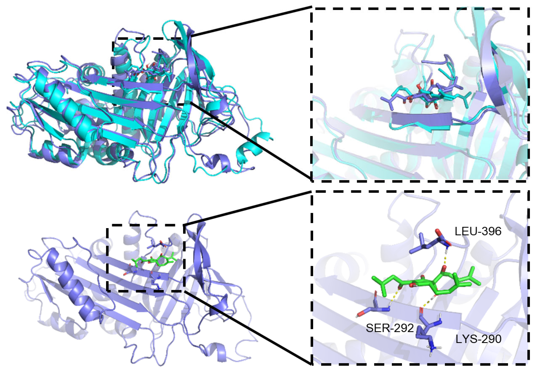 Chemistry 07 00065 g002