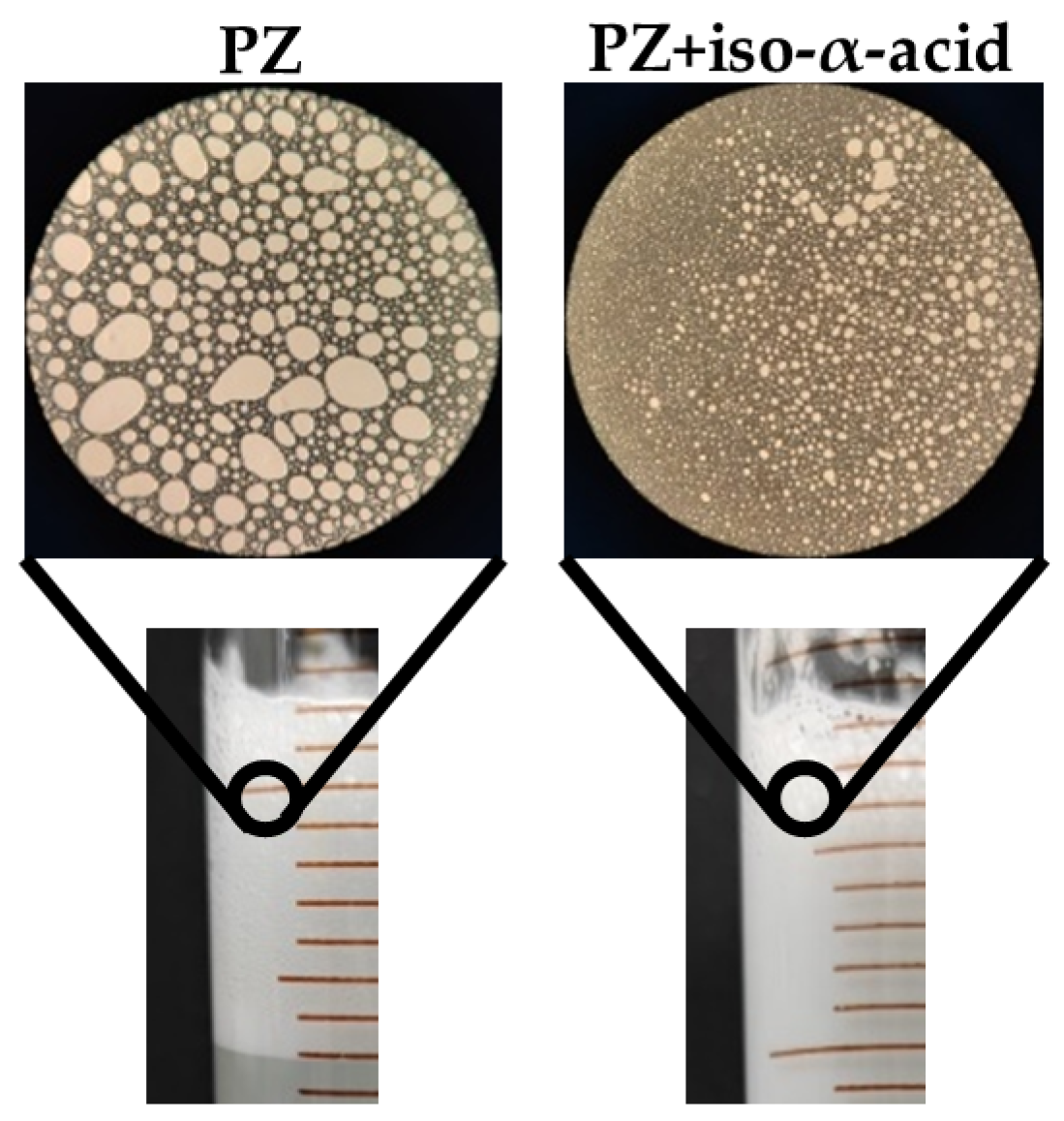 Chemistry 07 00065 g005