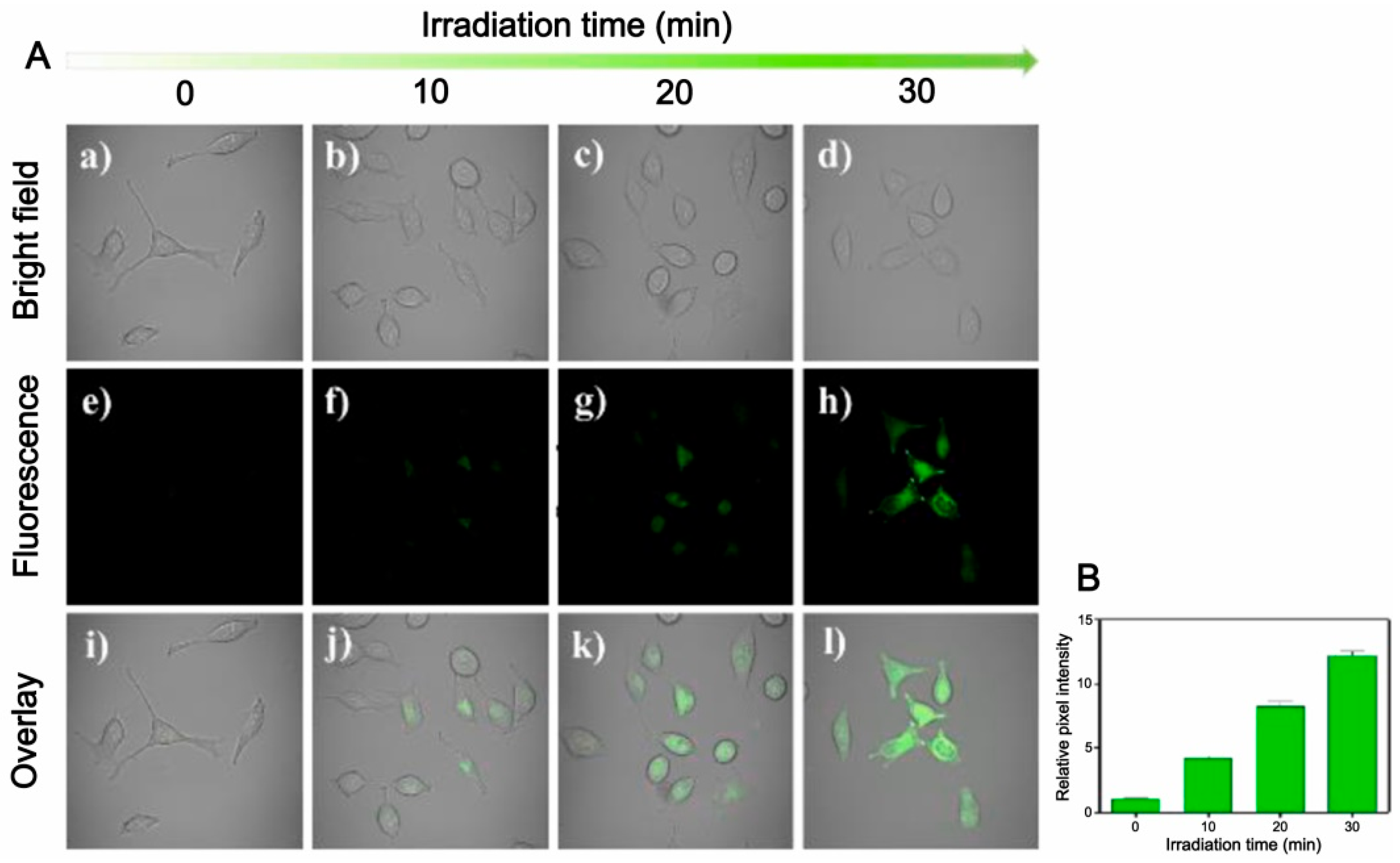 Chemistry 07 00066 g005 Chemistry 07 00066 g005