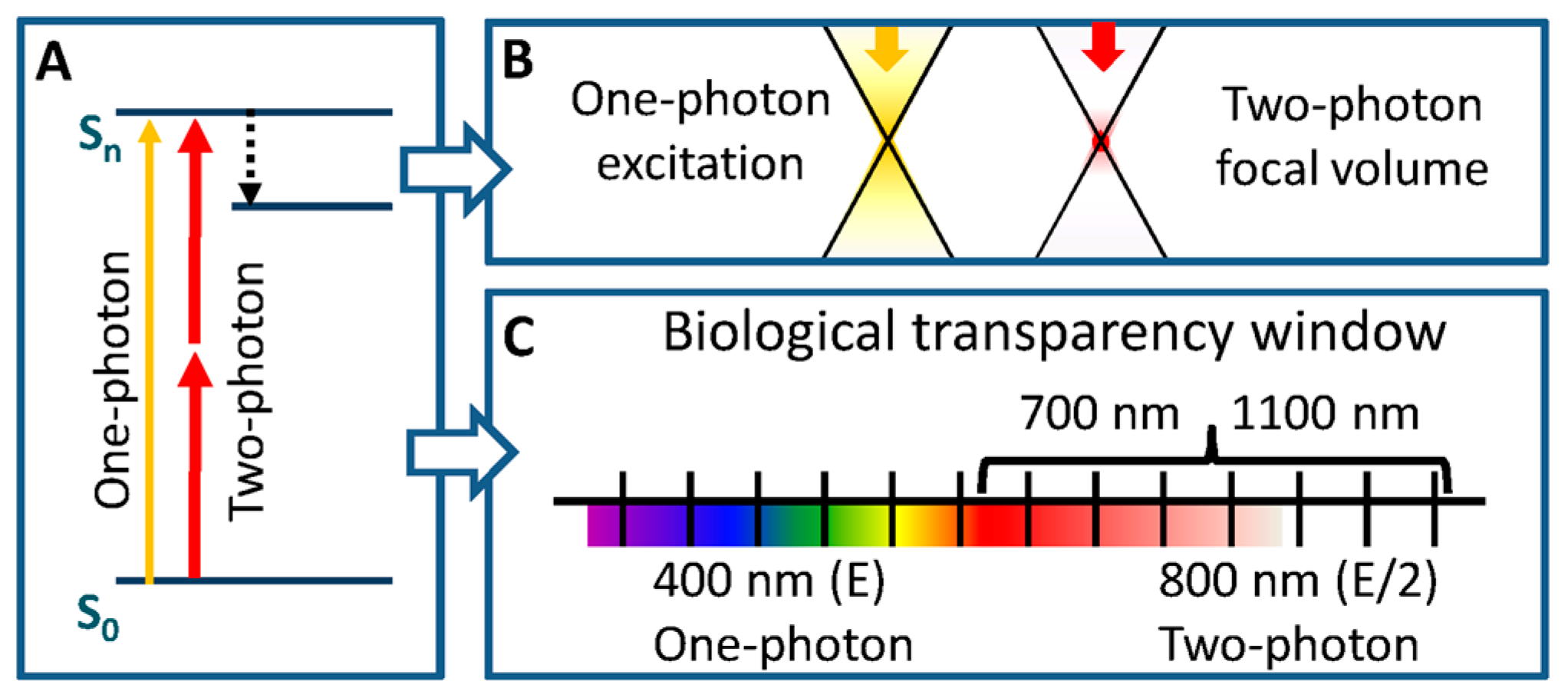 Photon 2. Second Harmonic Generation. Absorption process.