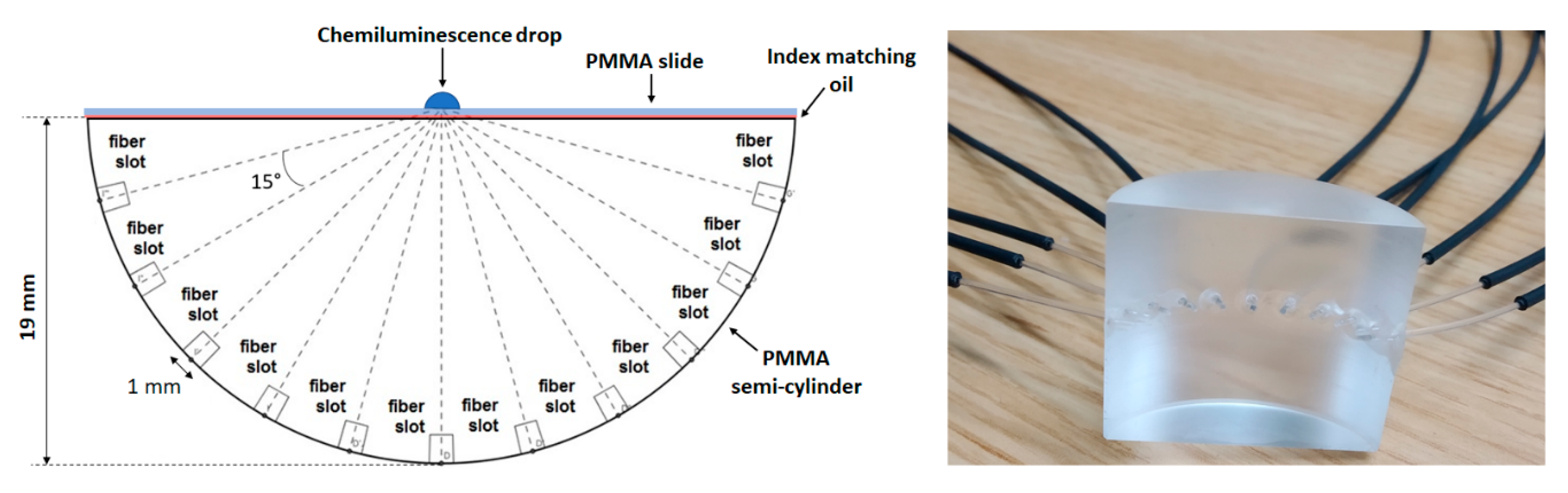 Chemosensors 08 00018 g002