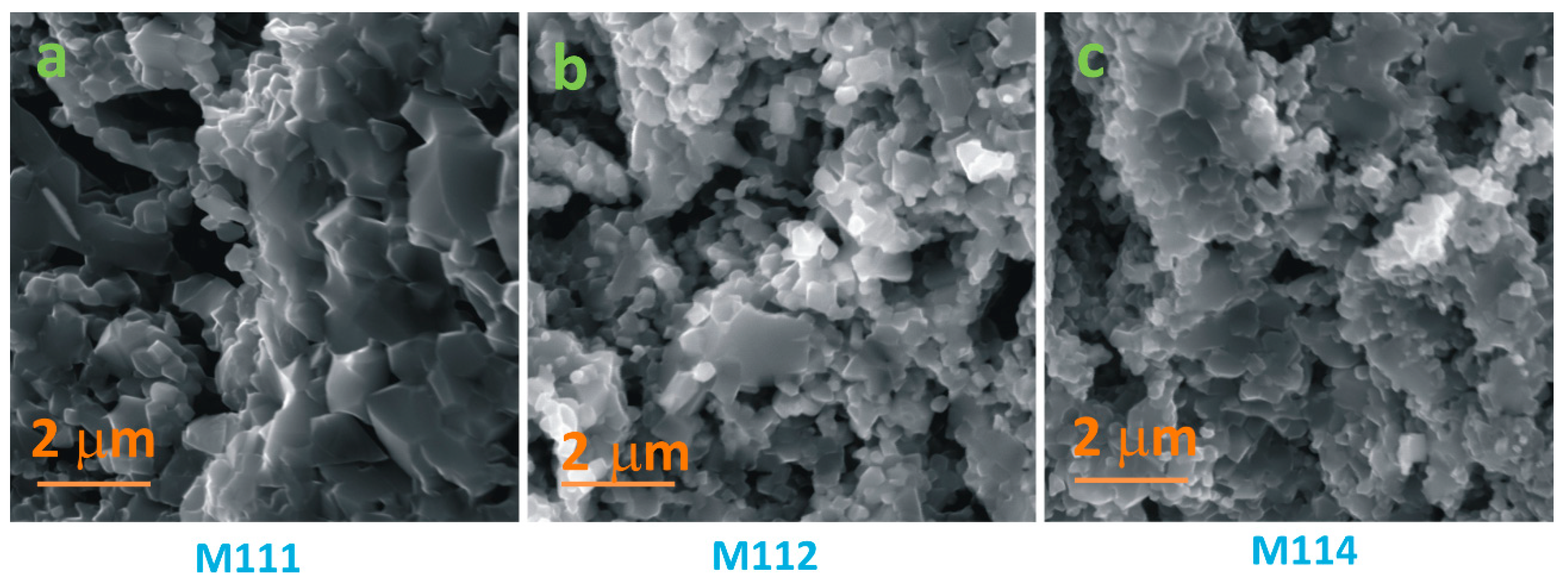 Chemosensors 08 00039 g004