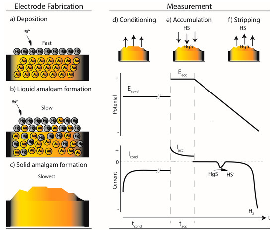 Chemosensors Free Full Text Sulfide Detection By Gold Amalgam Microelectrodes In Artificial Wastewater Html