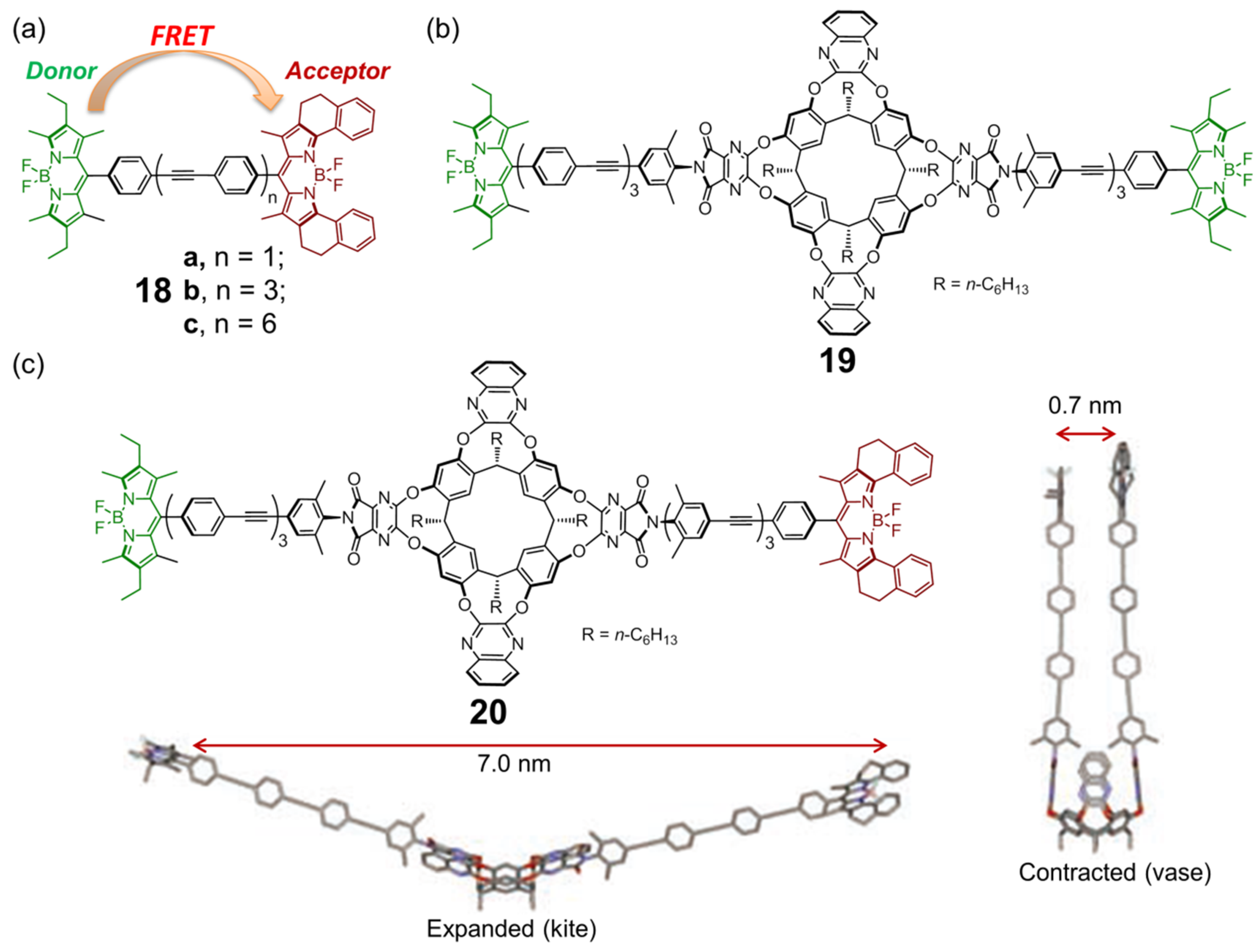Chemosensors Free Full Text Macrocyclic Arenes Functionalized With Bodipy Rising Stars Among Chemosensors And Smart Materials Html