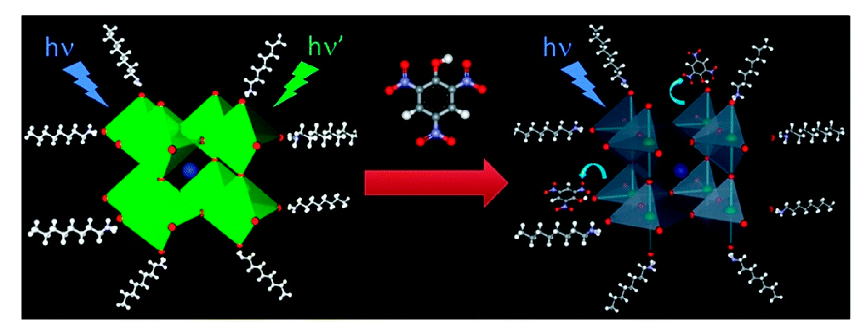 Chemosensors 08 00055 g013